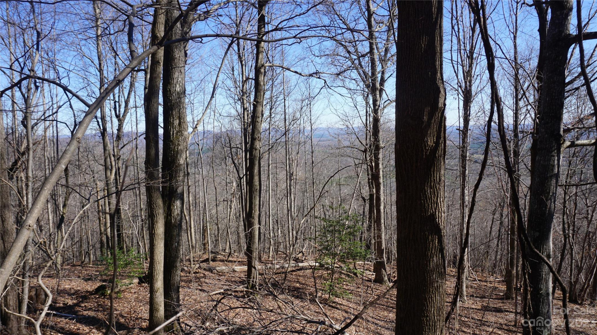 41 Pinnacle Parkway - Photo 3