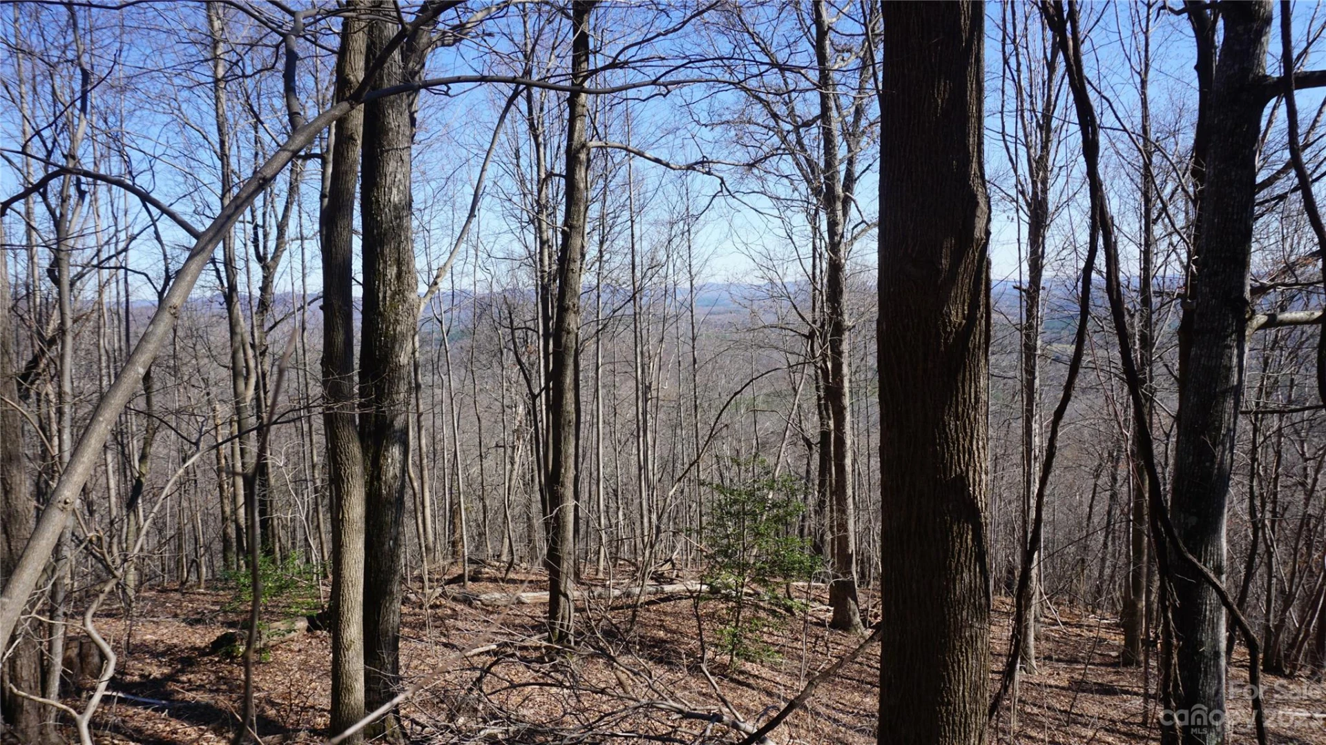 41 Pinnacle Parkway - Photo 3