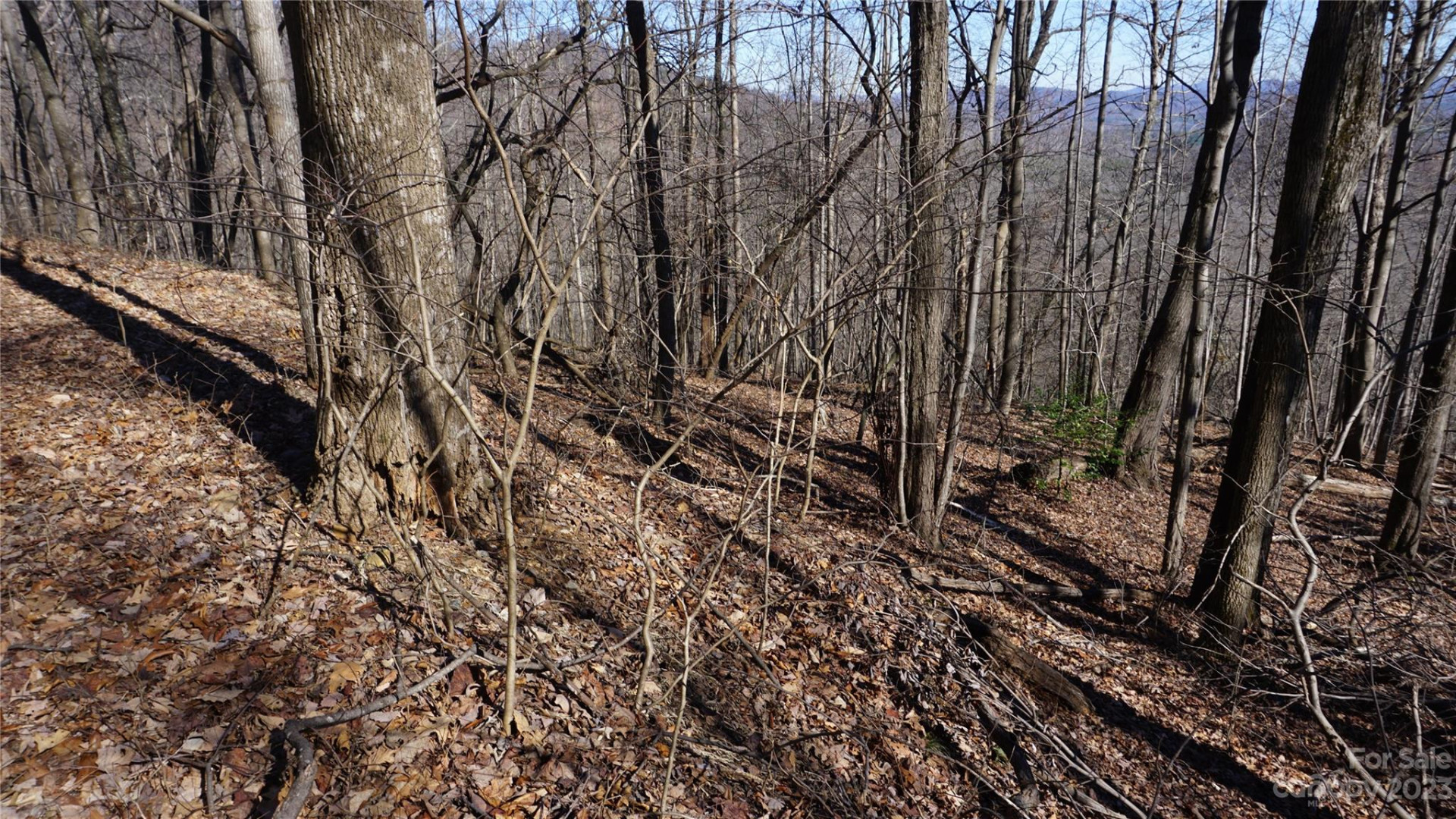 41 Pinnacle Parkway - Photo 4