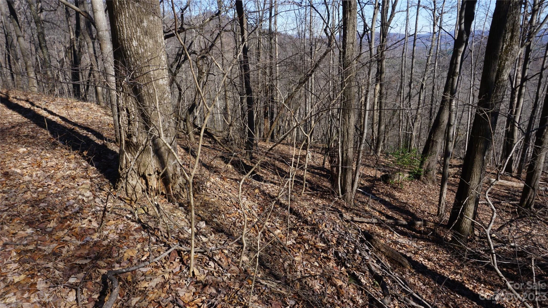41 Pinnacle Parkway - Photo 4