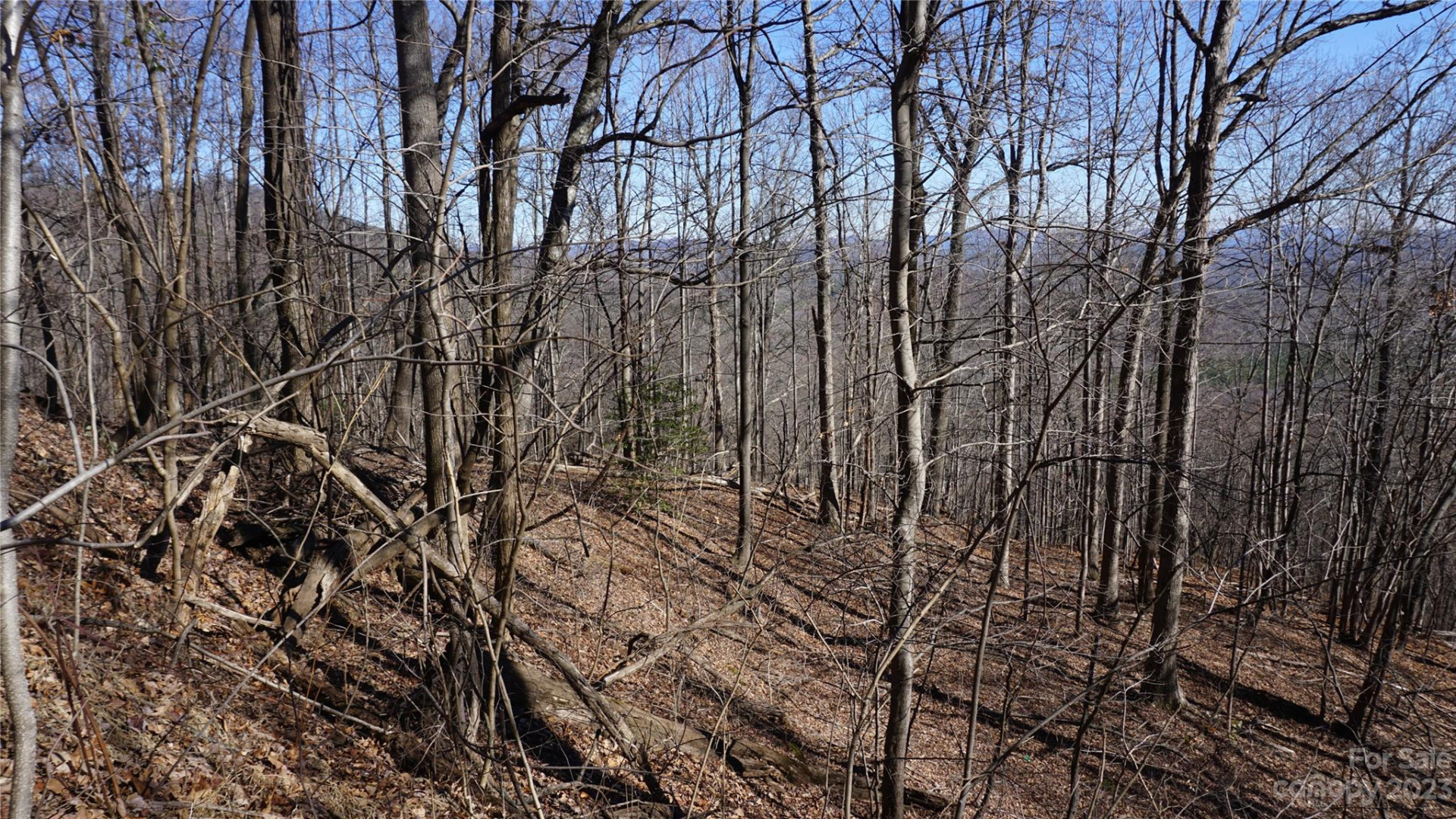 41 Pinnacle Parkway - Photo 6