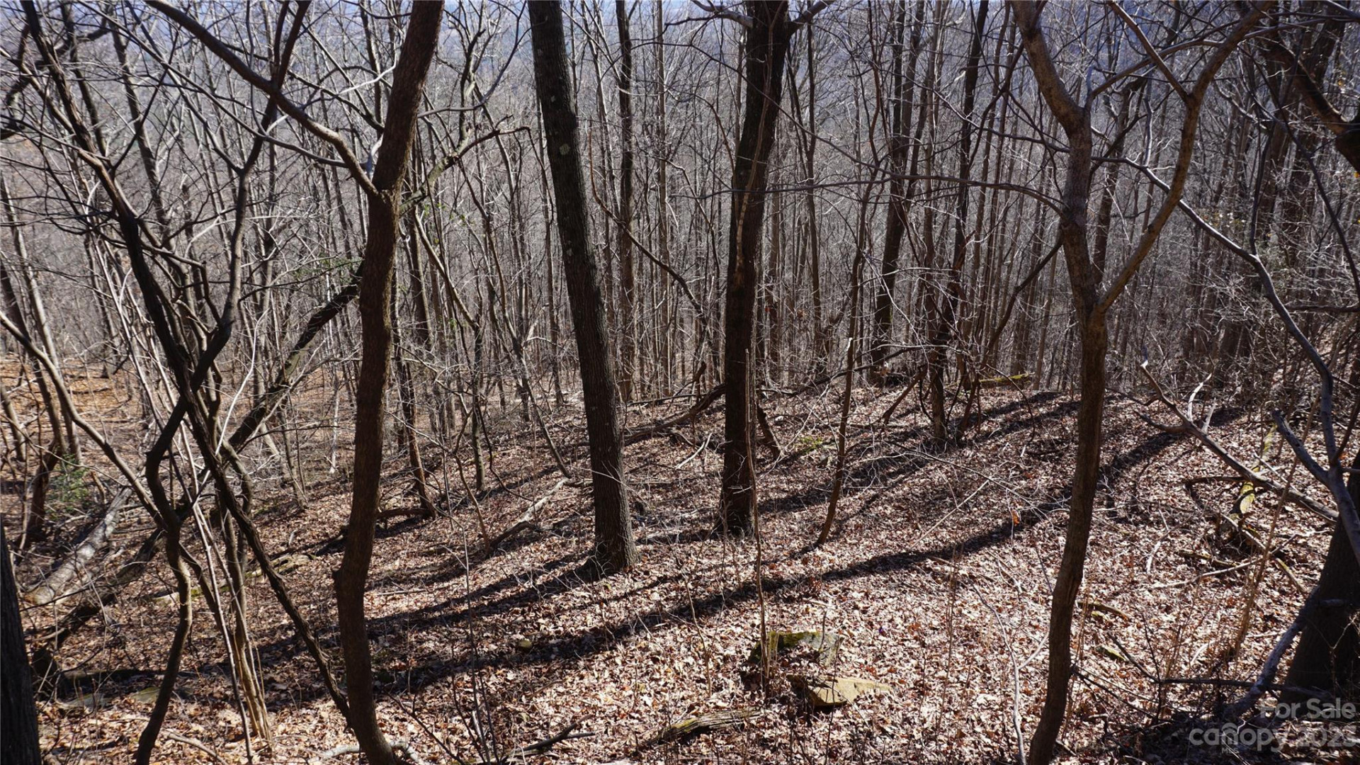 41 Pinnacle Parkway - Photo 7