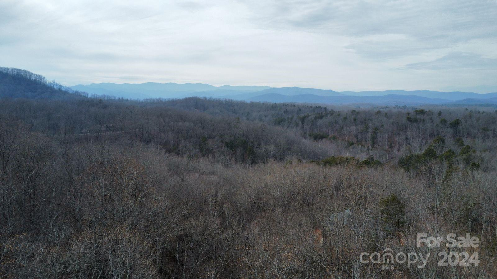 Lot #73 Black Lark Drive - Photo 4