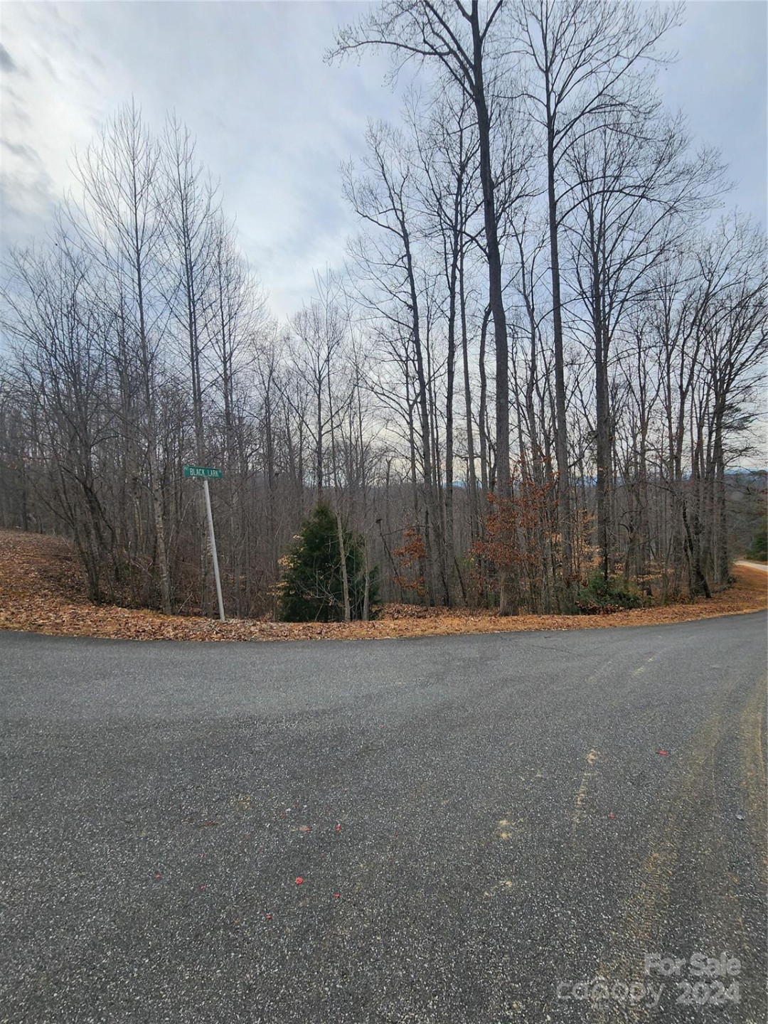 Lot #73 Black Lark Drive - Photo 6