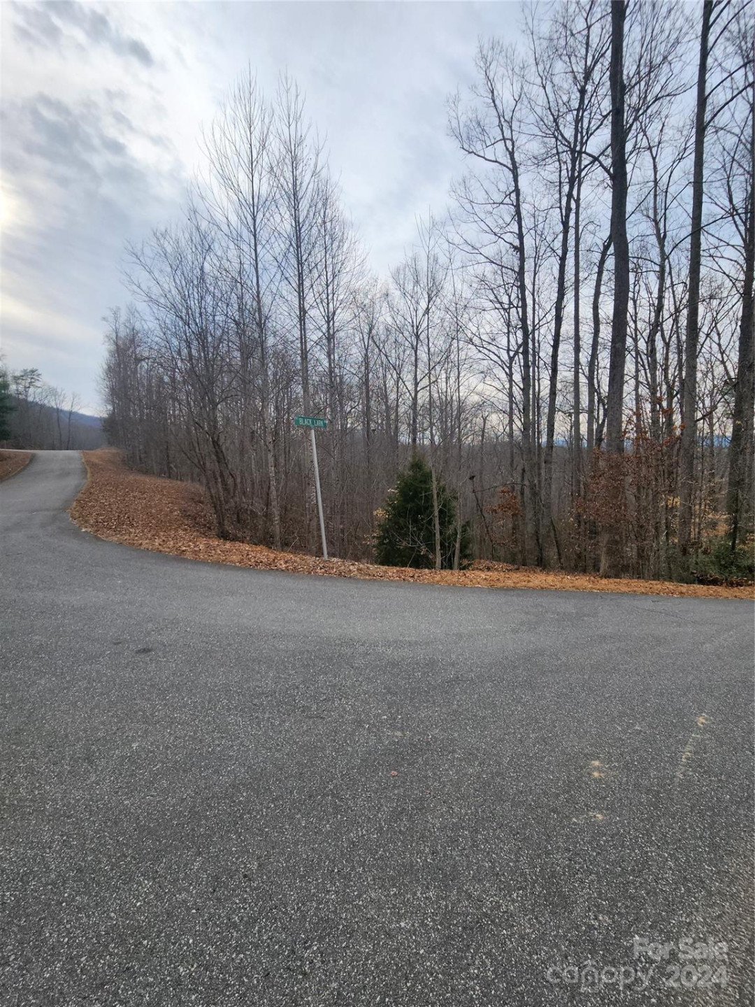 Lot #73 Black Lark Drive - Photo 7