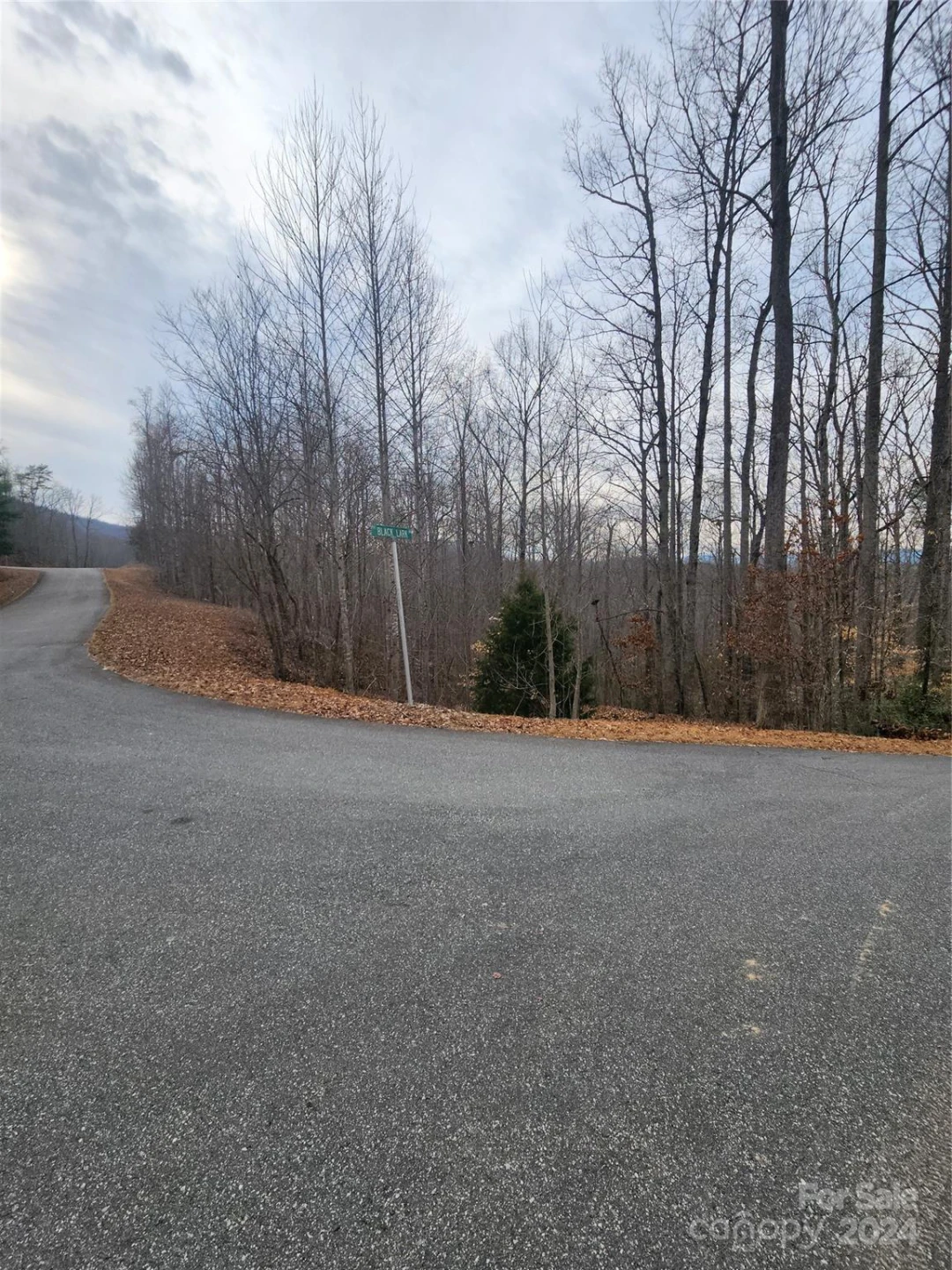 Lot #73 Black Lark Drive - Photo 7
