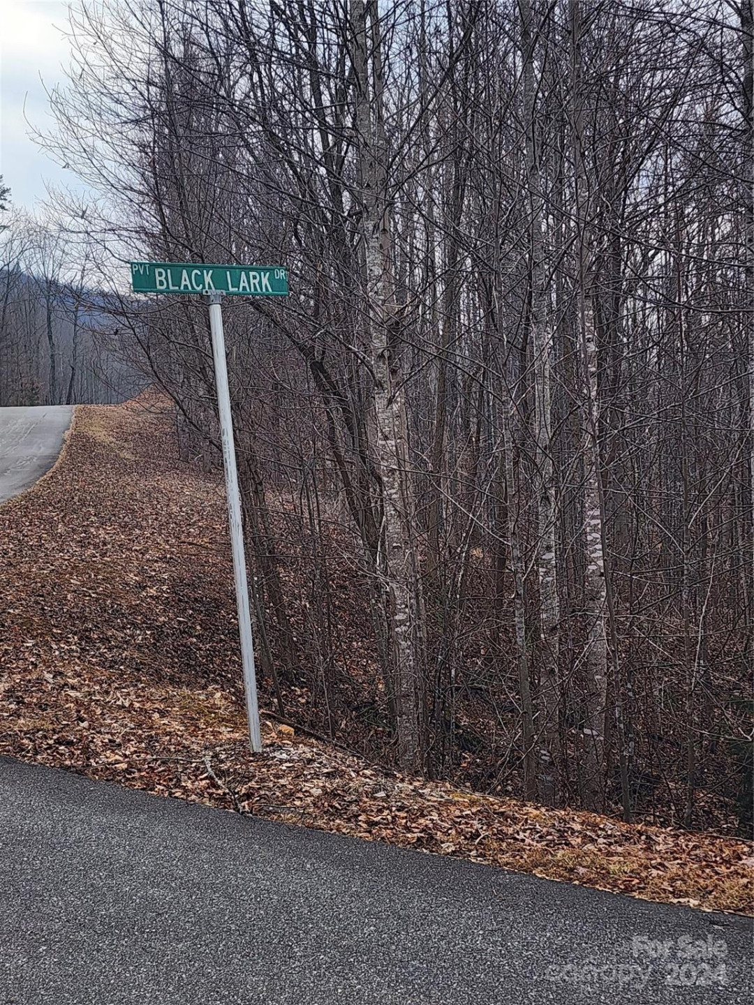 Lot #73 Black Lark Drive - Photo 8