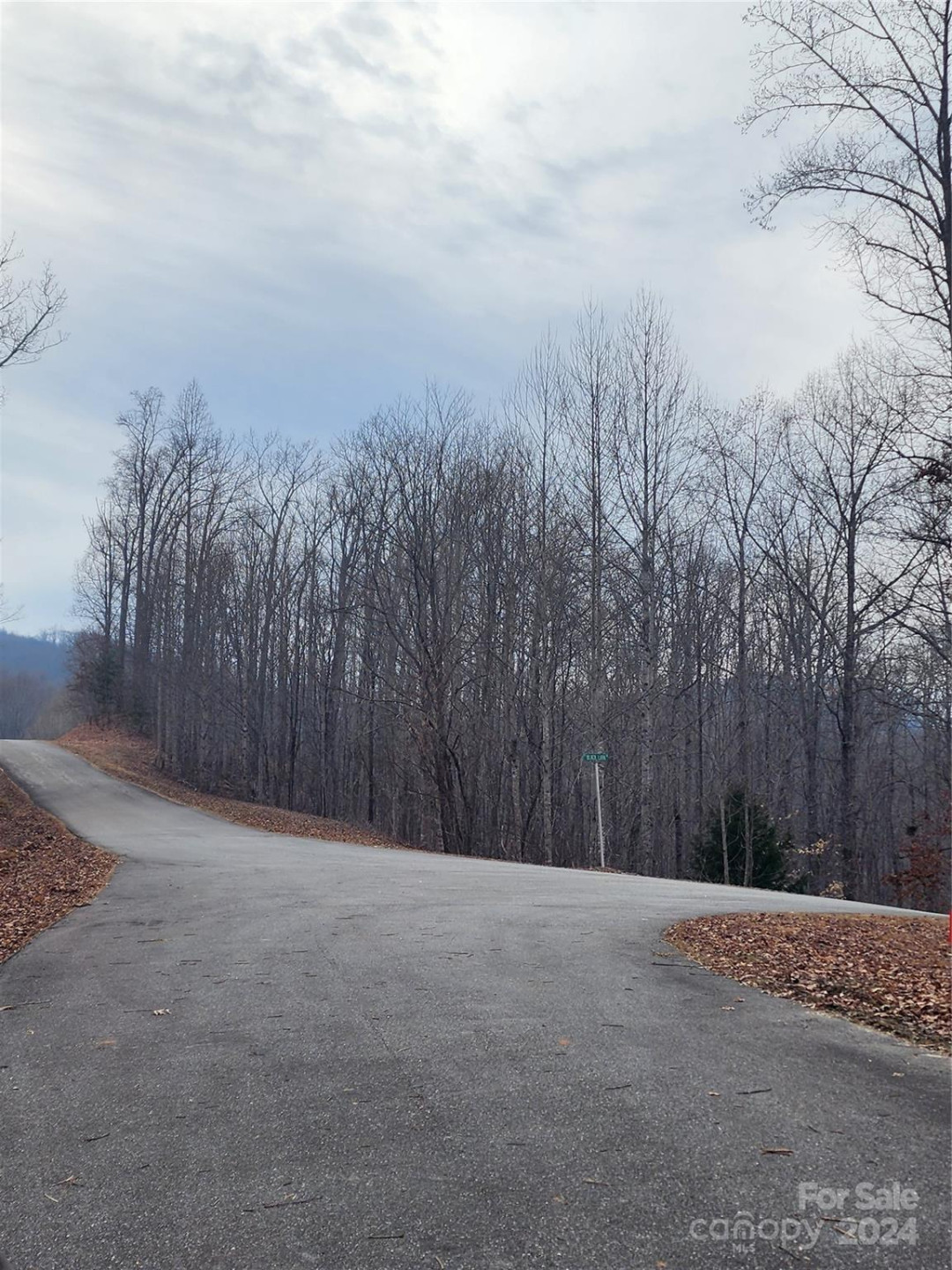 Lot #73 Black Lark Drive - Photo 9