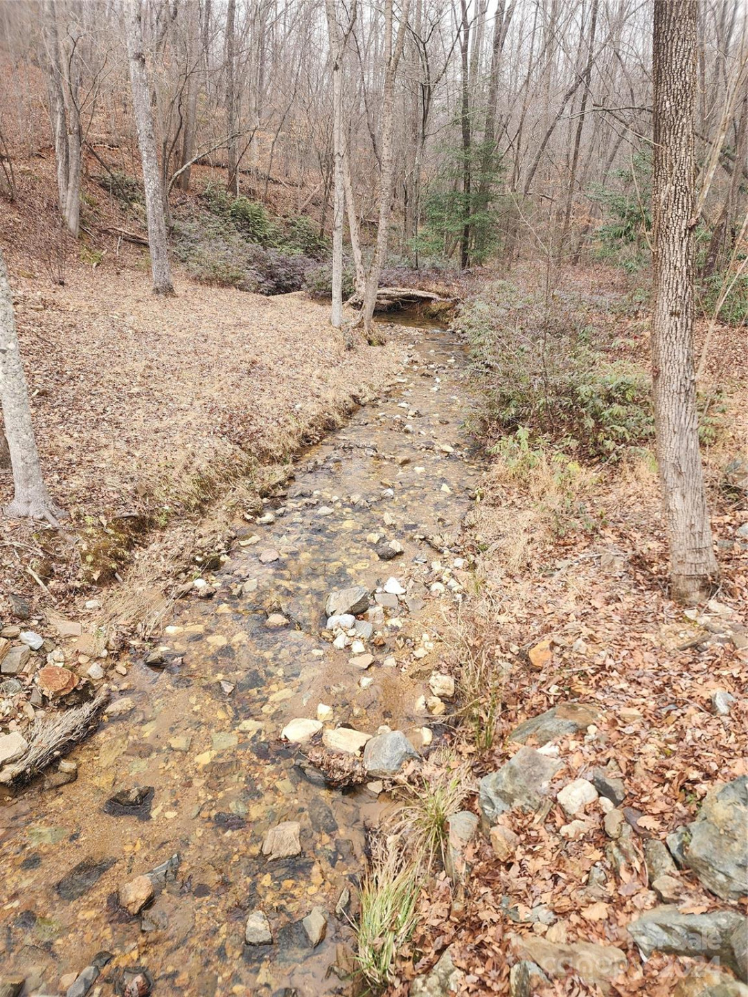 Lot #73 Black Lark Drive - Photo 10