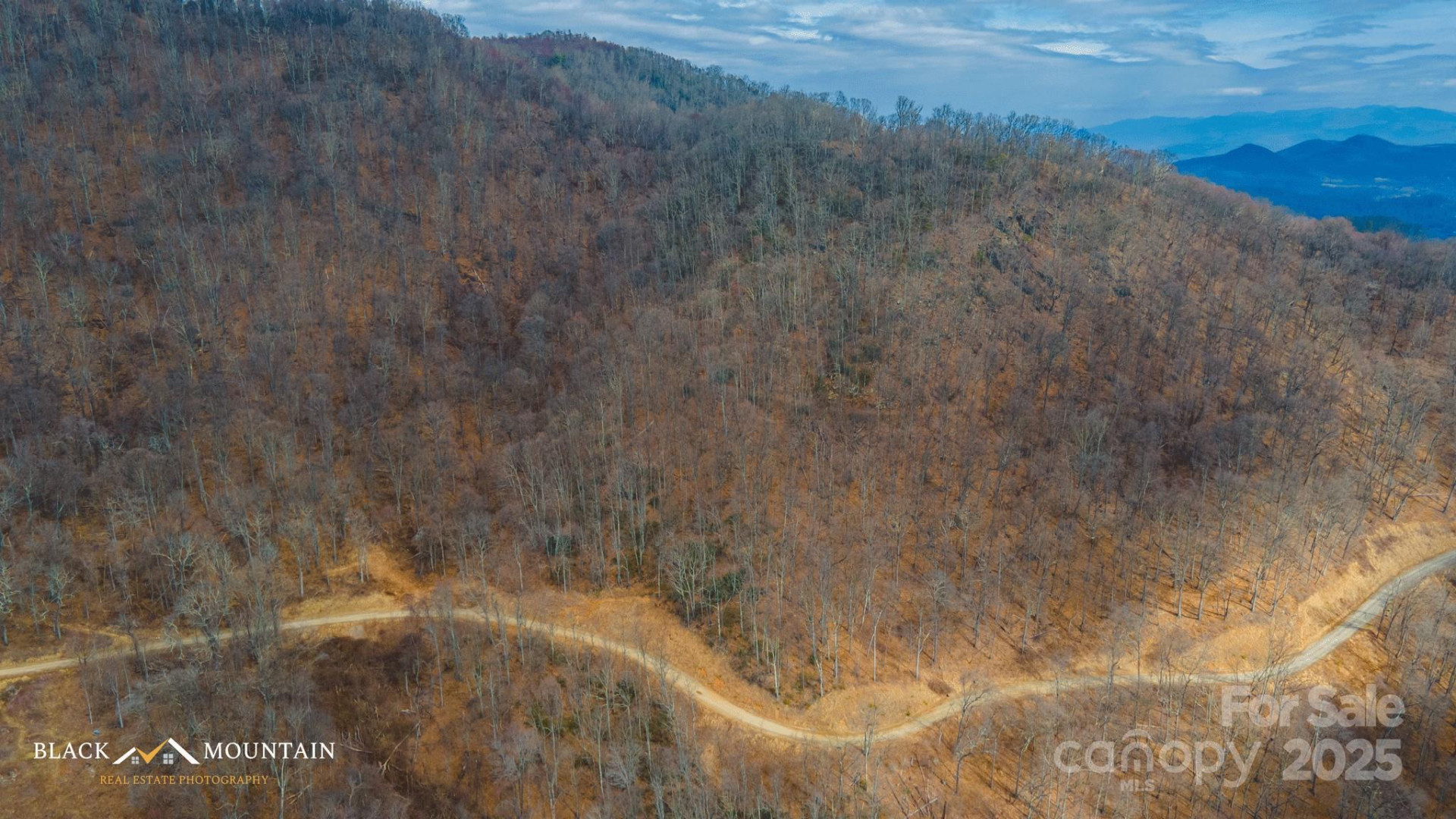 999 High Rock View Drive #36 - Photo 2