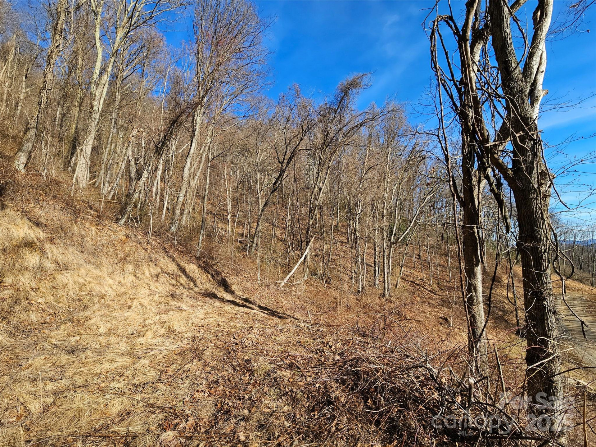 999 High Rock View Drive #36 - Photo 11