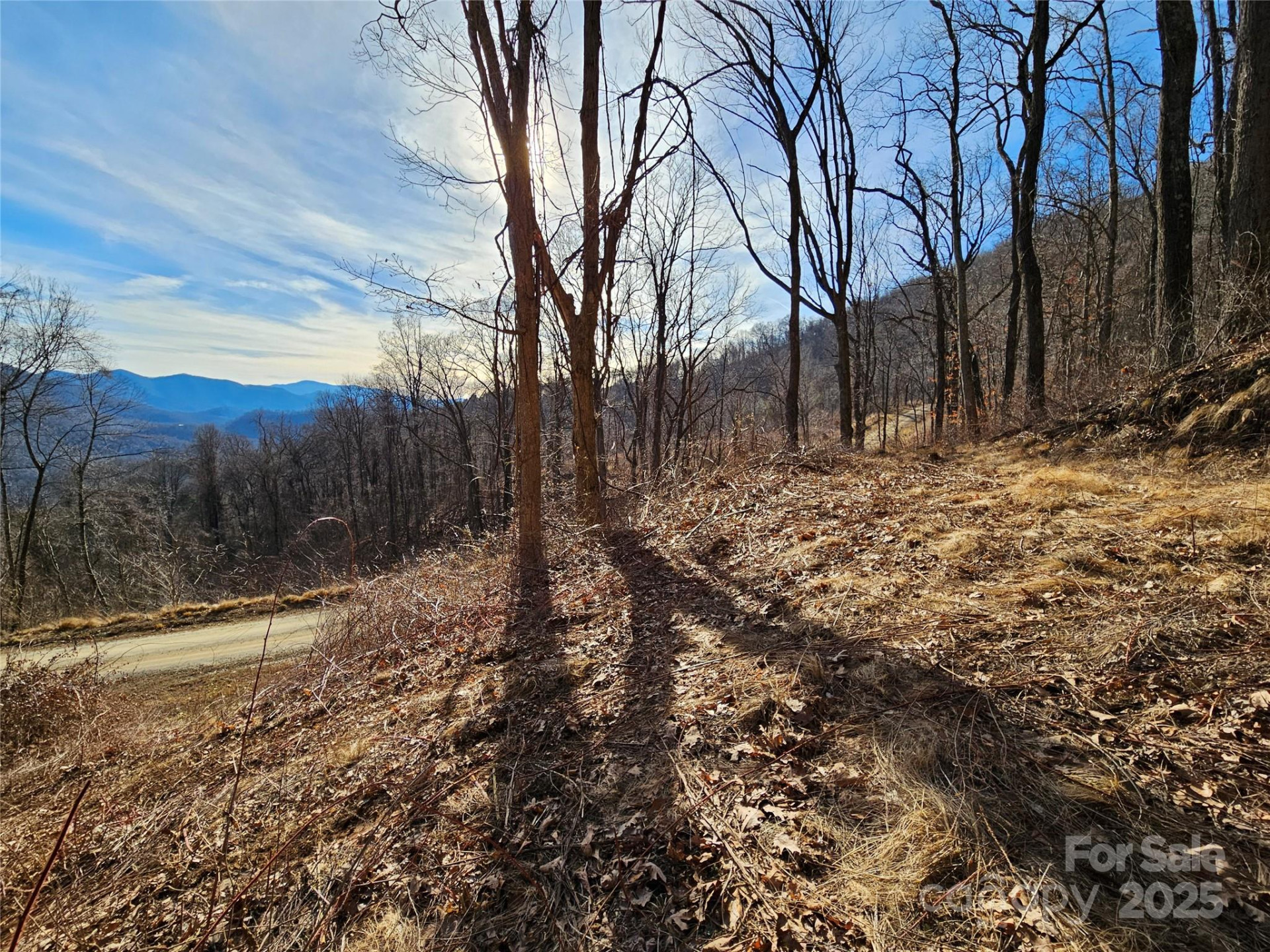 999 High Rock View Drive #36 - Photo 12