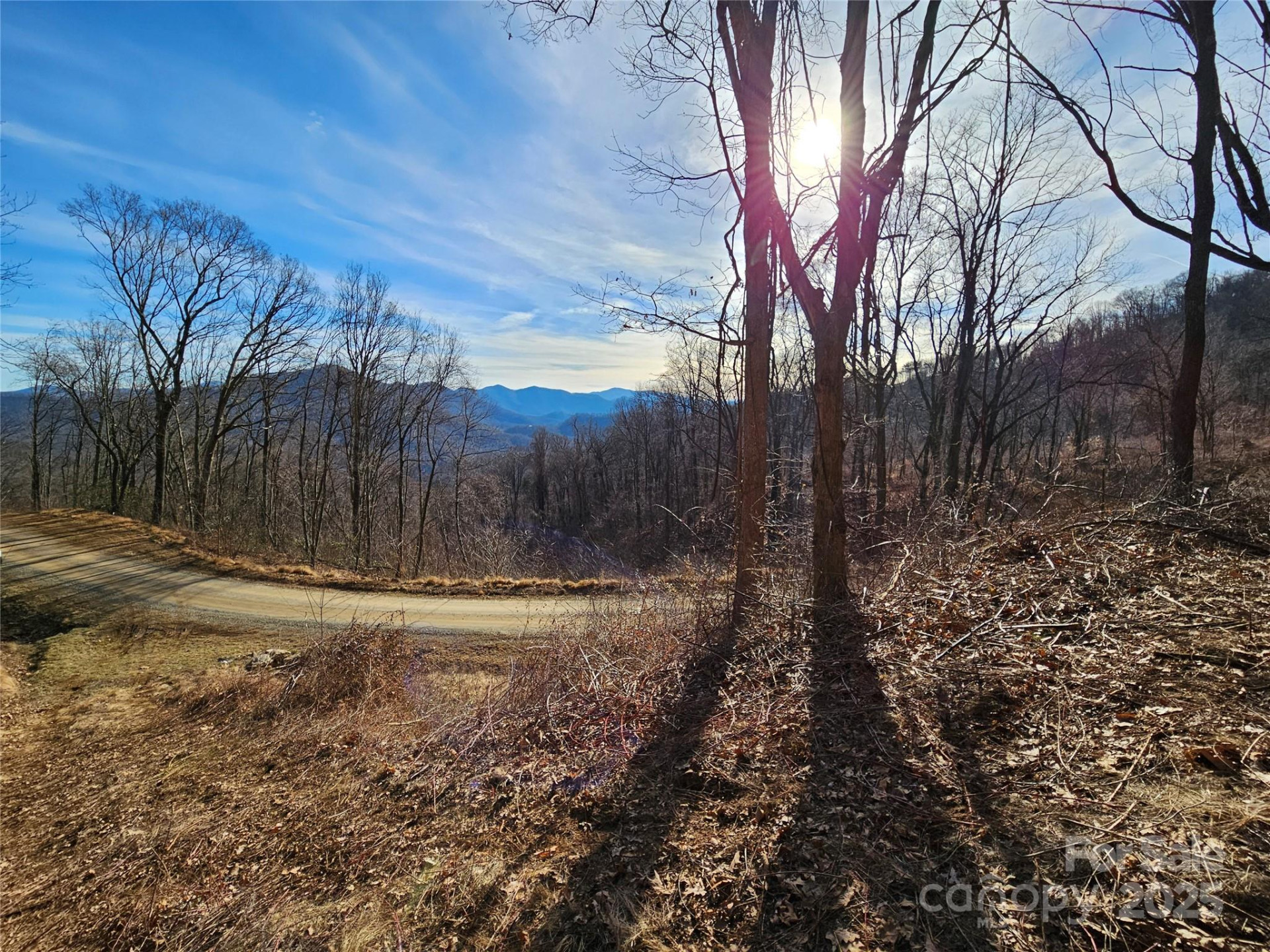 999 High Rock View Drive #36 - Photo 13