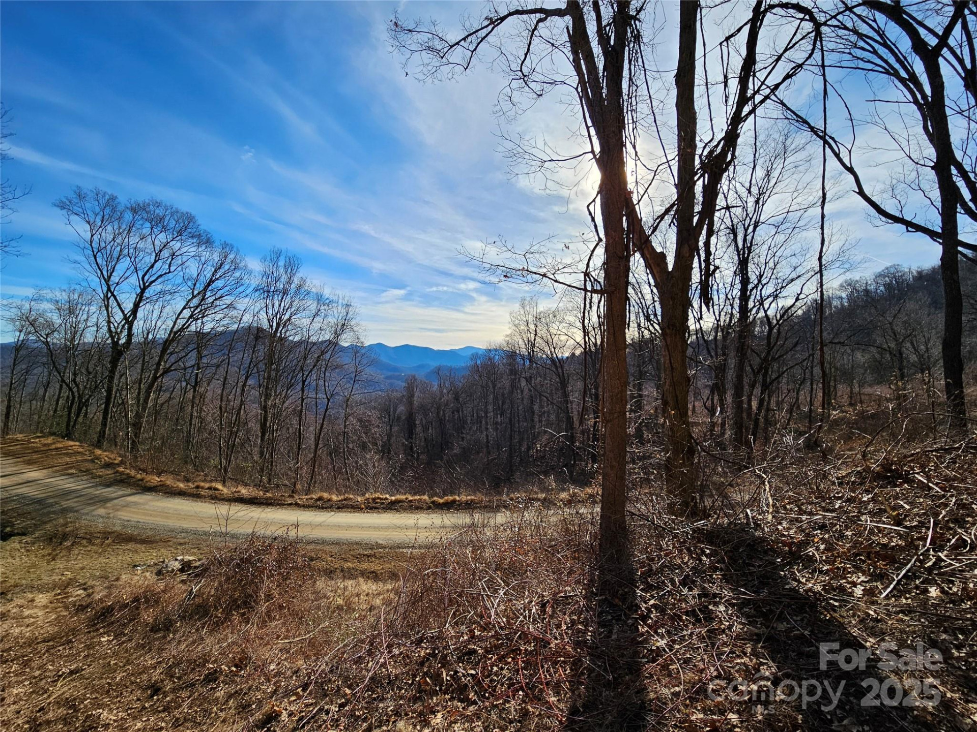 999 High Rock View Drive #36 - Photo 14