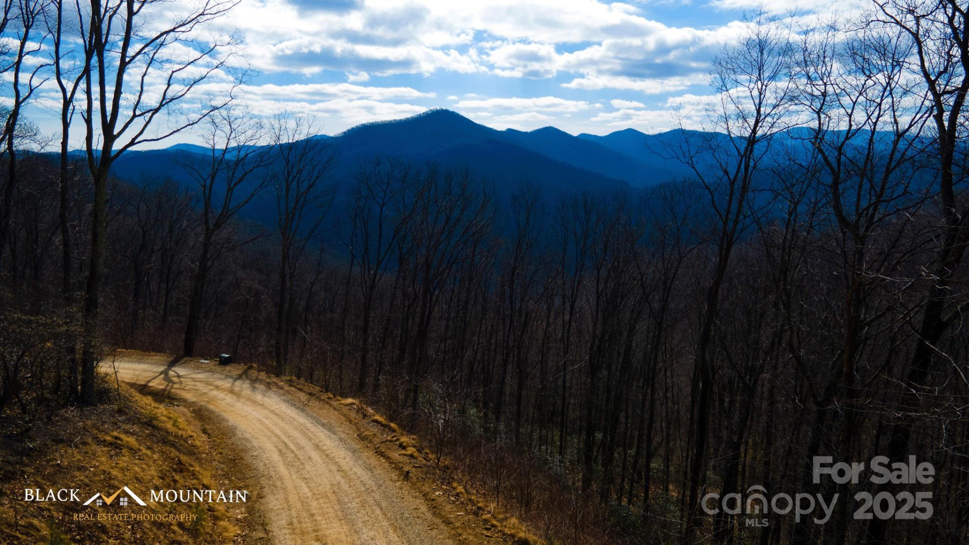 999 High Rock View Drive #36 - Photo 15