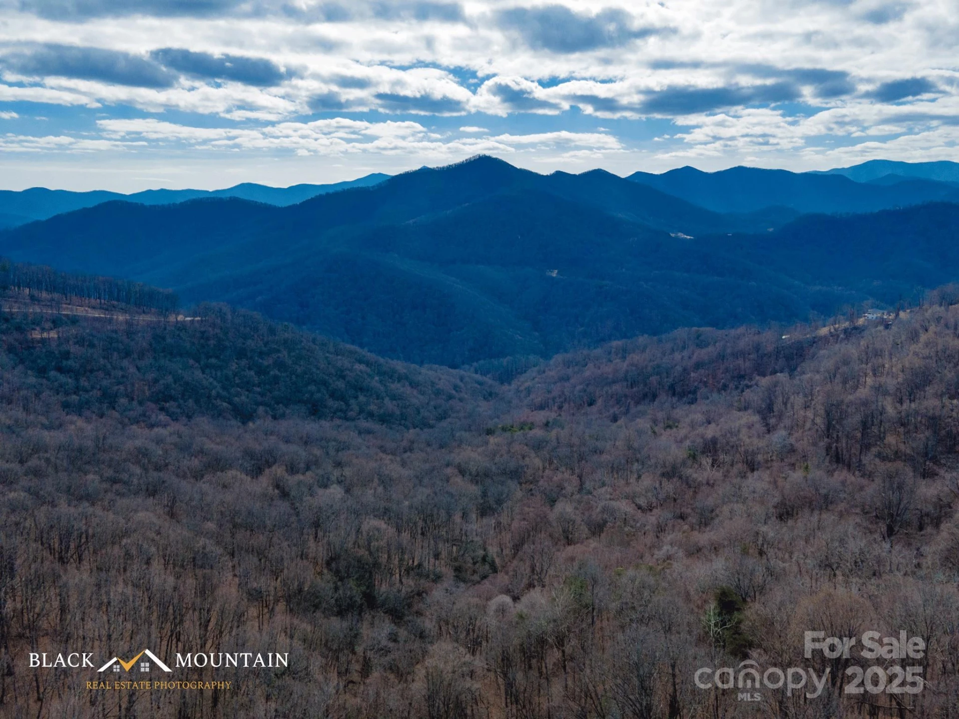 999 High Rock View Drive #36 - Photo 3