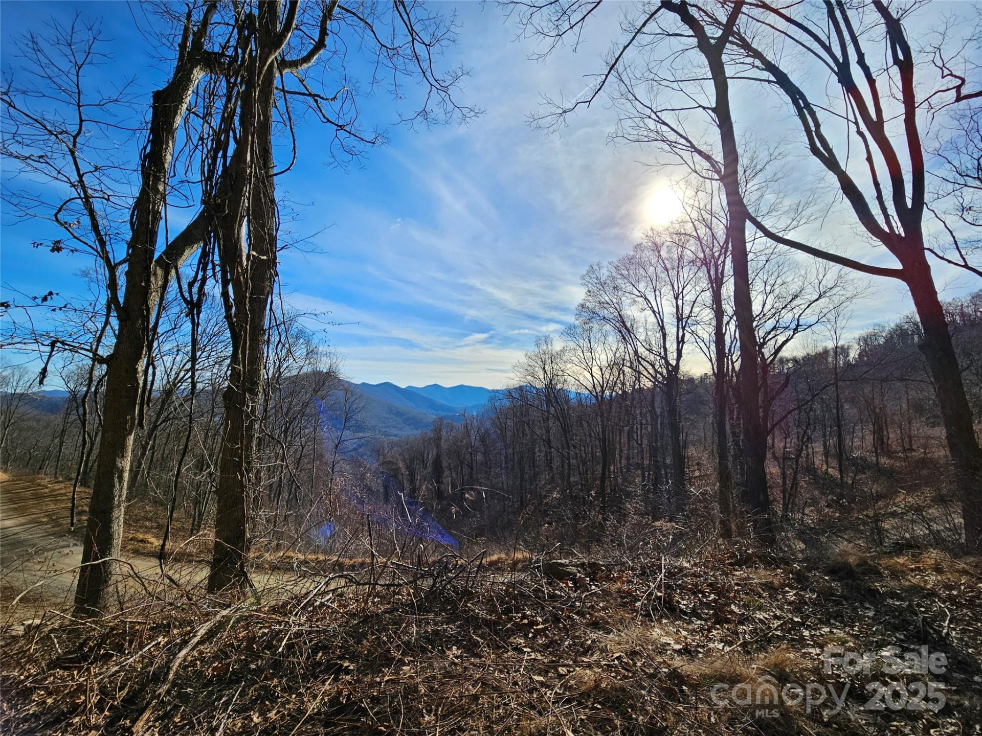 999 High Rock View Drive #36 - Photo 4