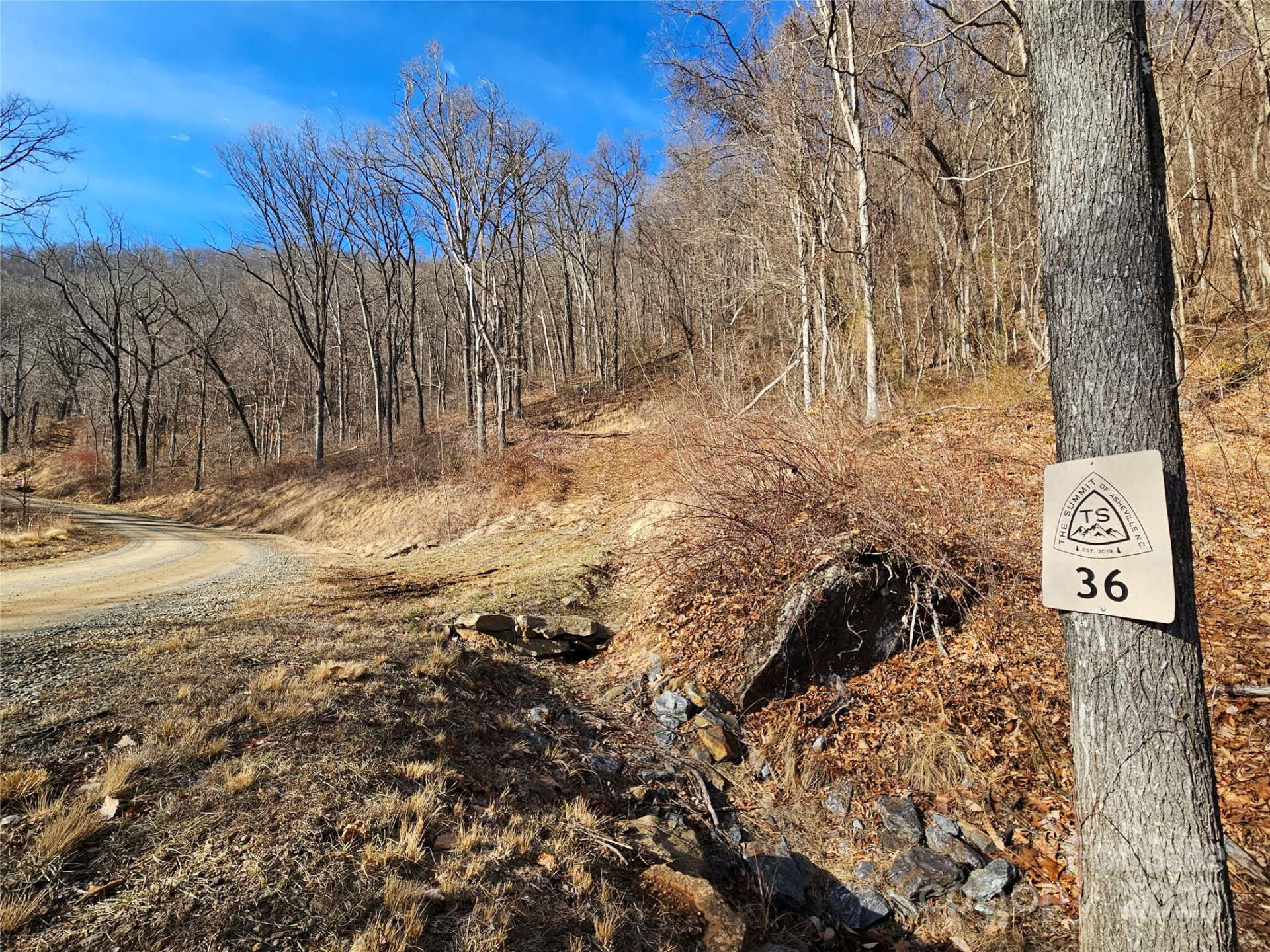 999 High Rock View Drive #36 - Photo 5