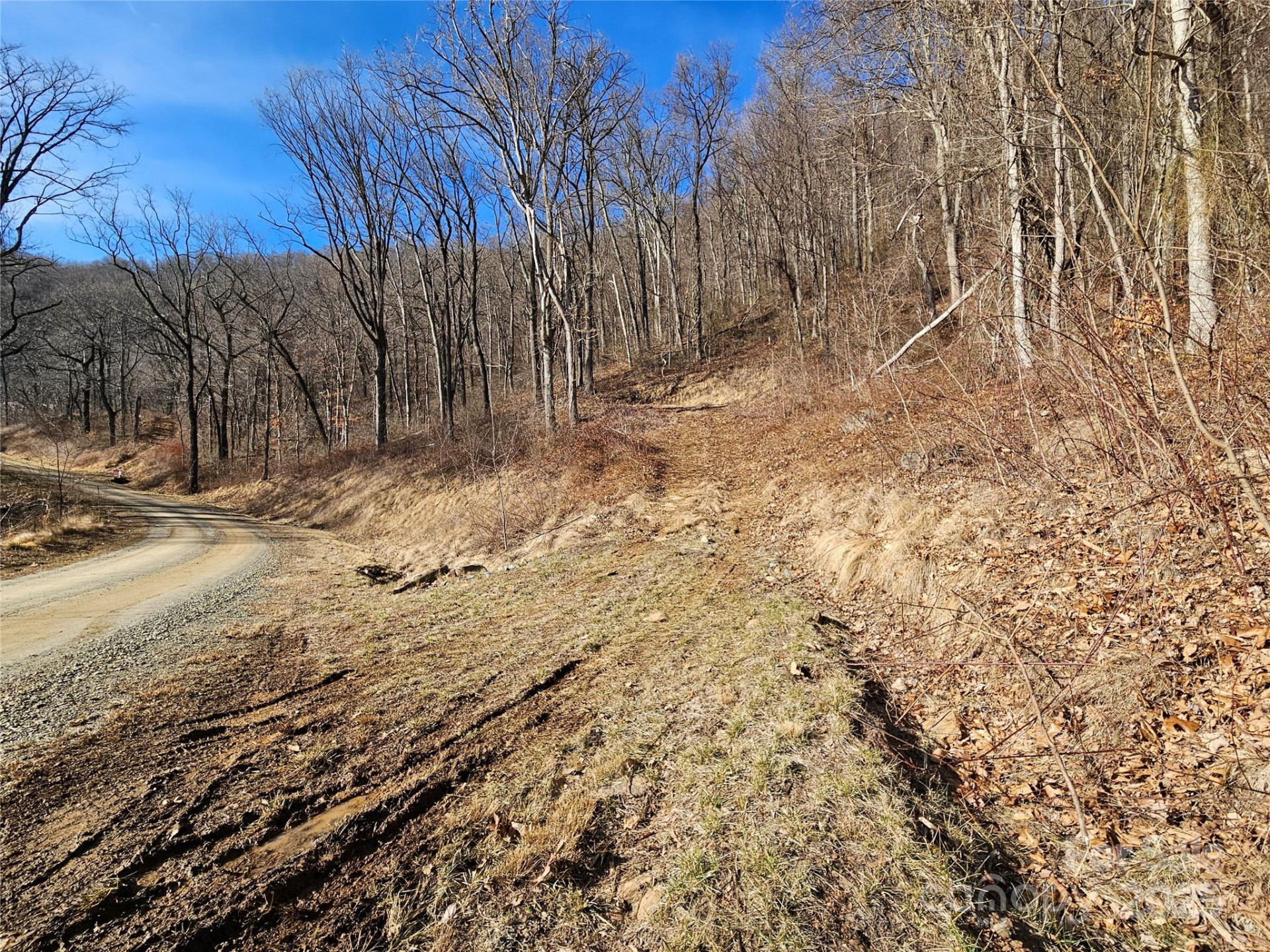 999 High Rock View Drive #36 - Photo 6