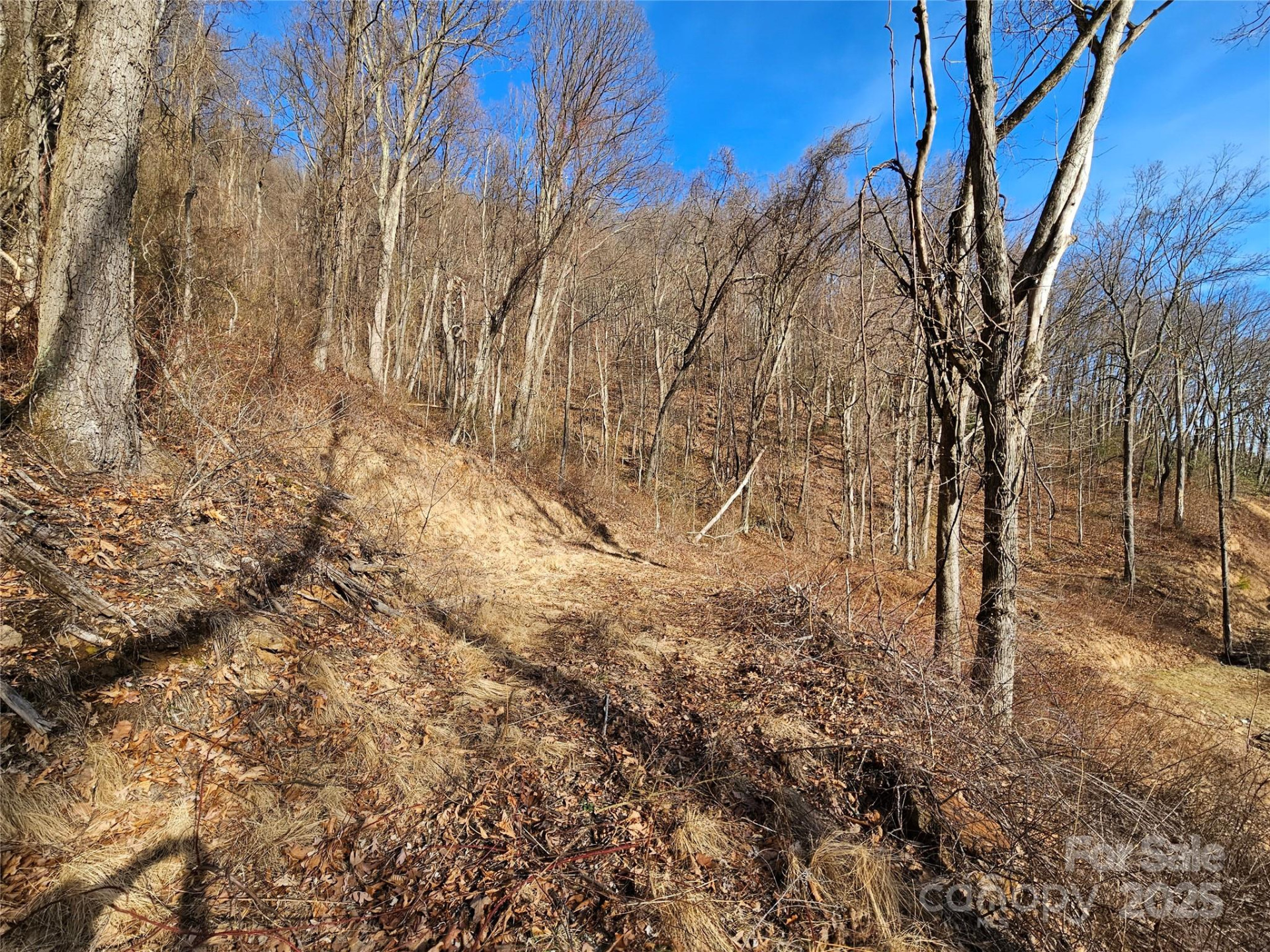 999 High Rock View Drive #36 - Photo 7