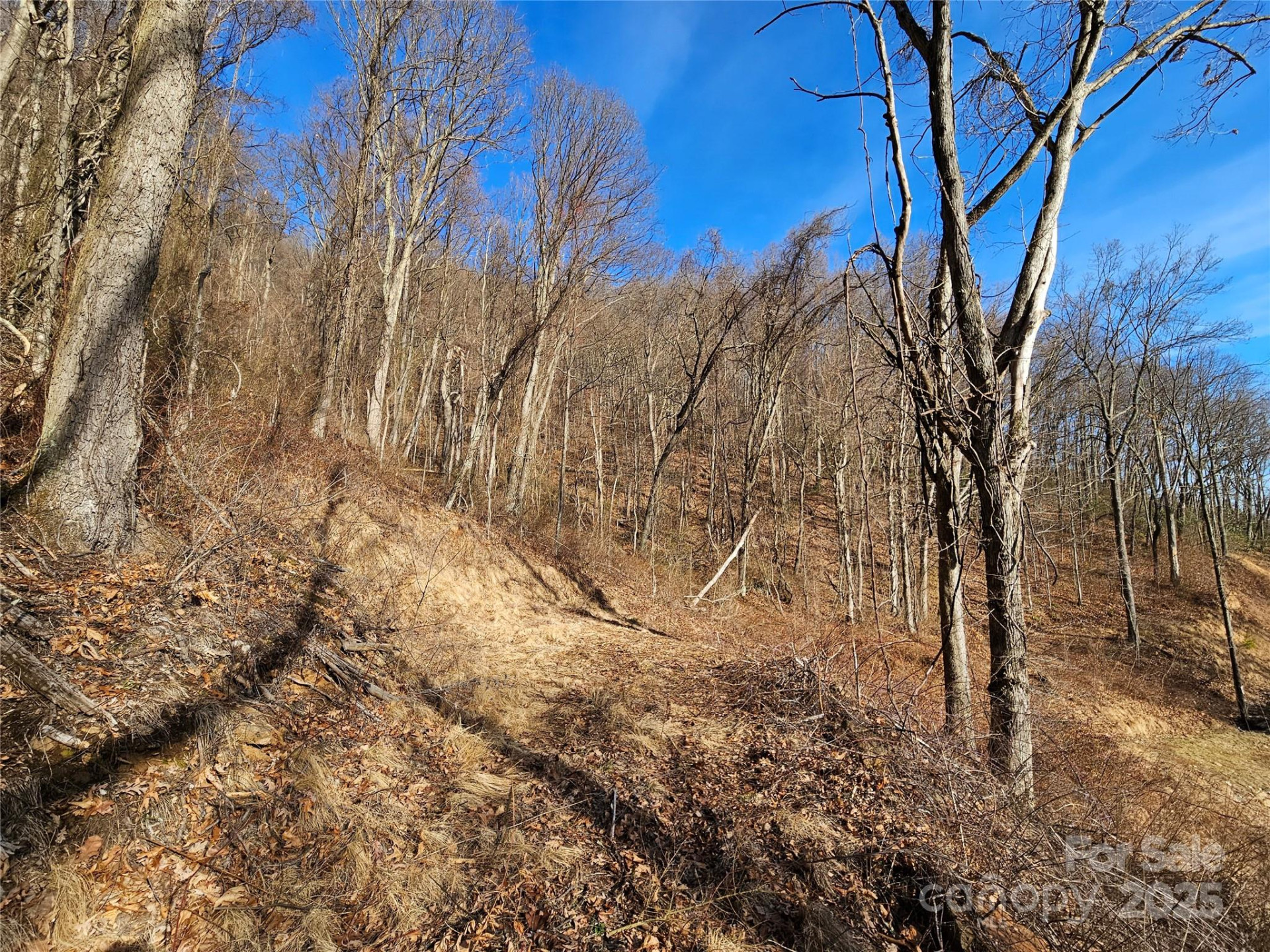 999 High Rock View Drive #36 - Photo 8