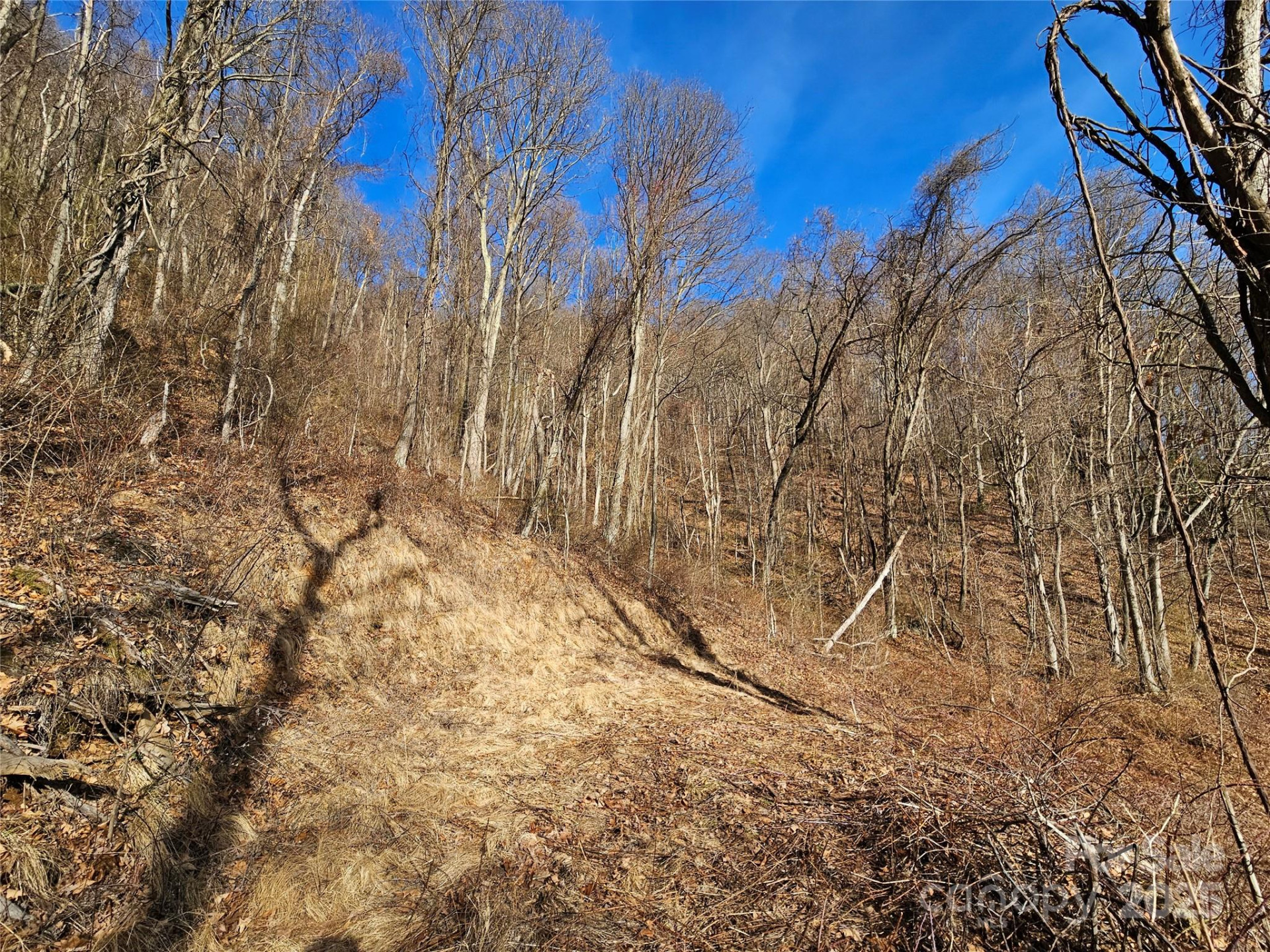 999 High Rock View Drive #36 - Photo 9