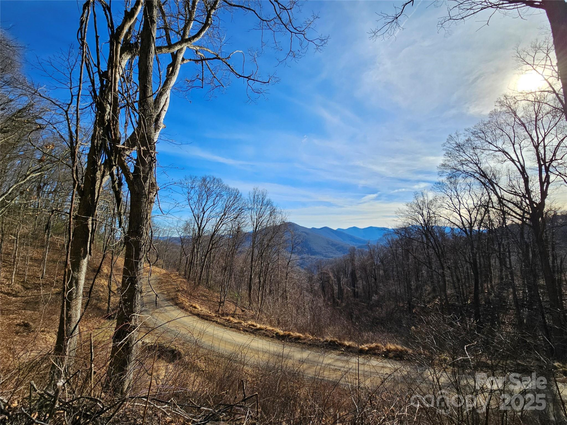 999 High Rock View Drive #36 - Photo 10