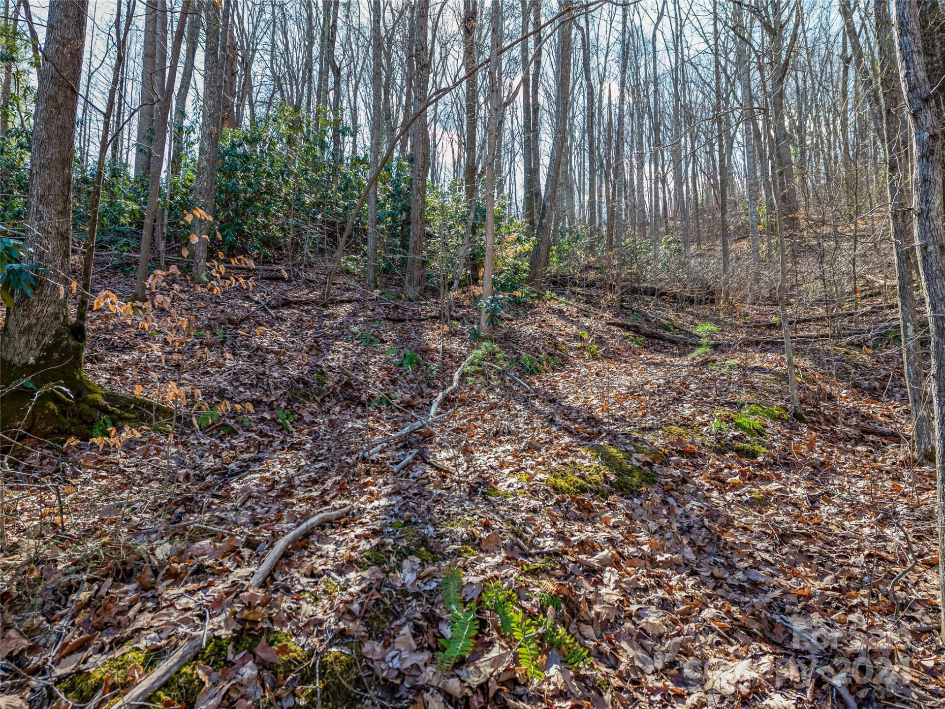 99999 Propst Road - Photo 14