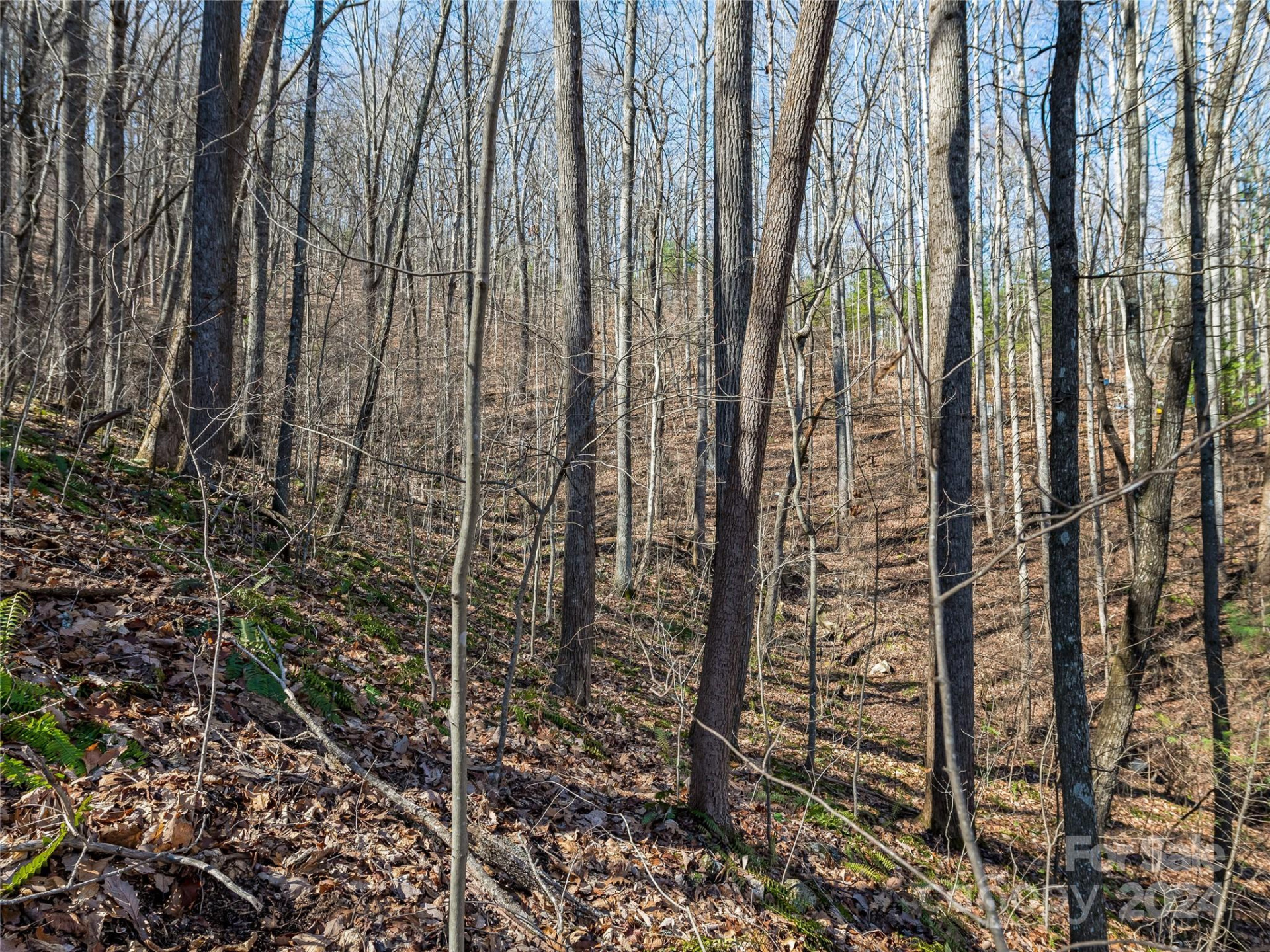 99999 Propst Road - Photo 15