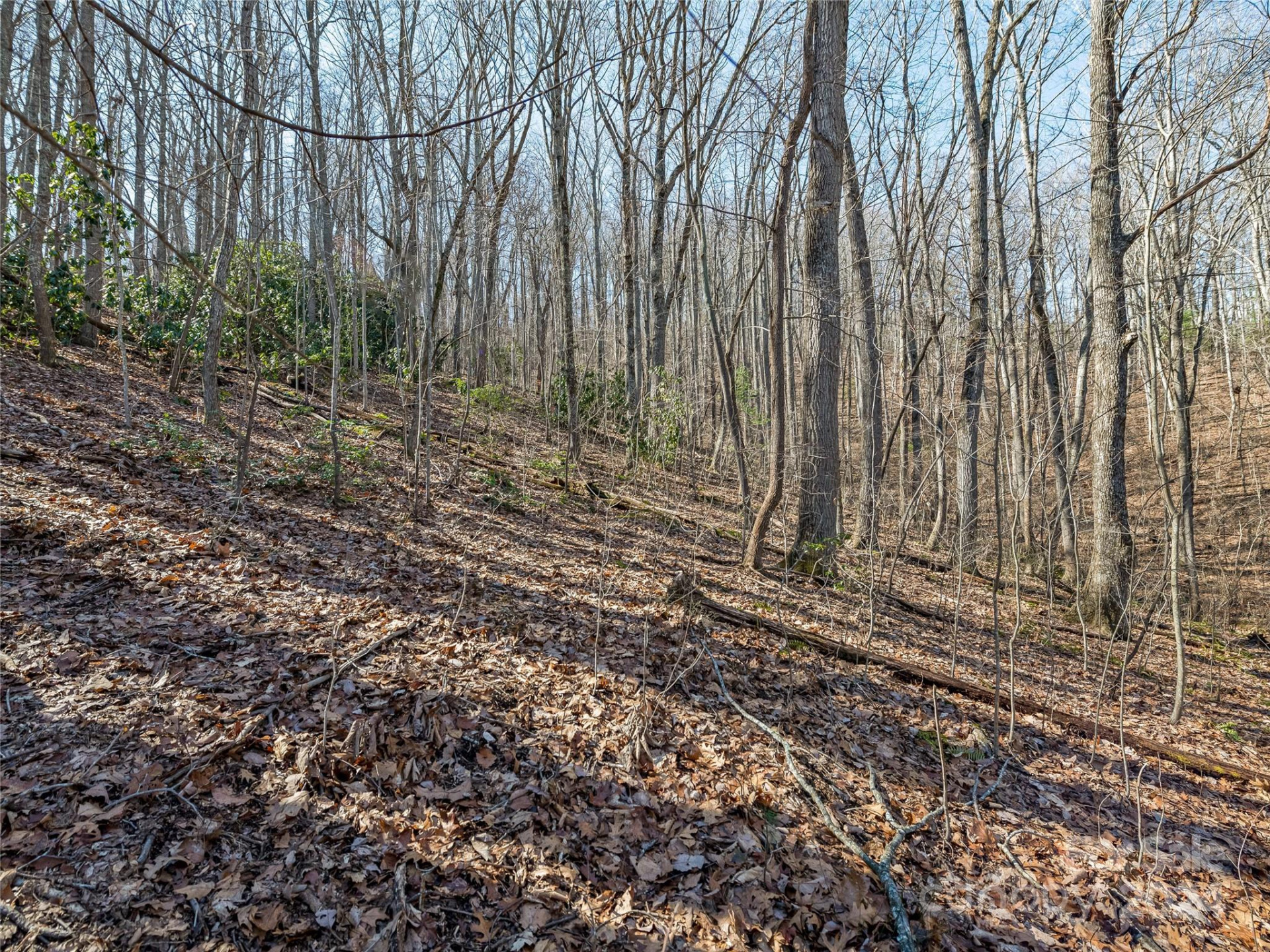 99999 Propst Road - Photo 16