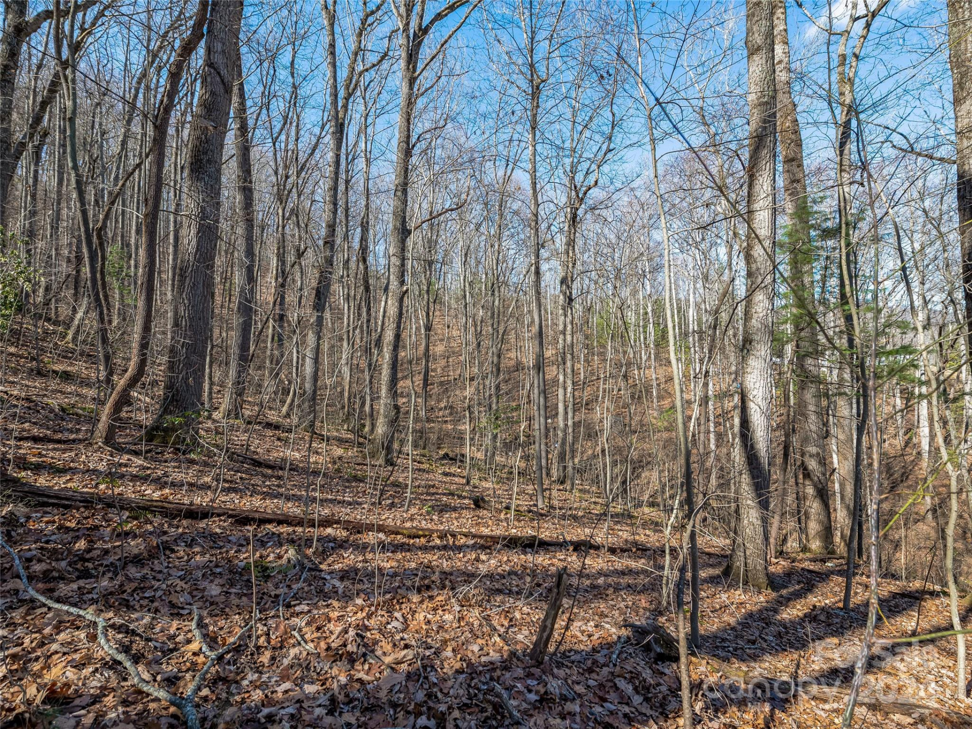 99999 Propst Road - Photo 17