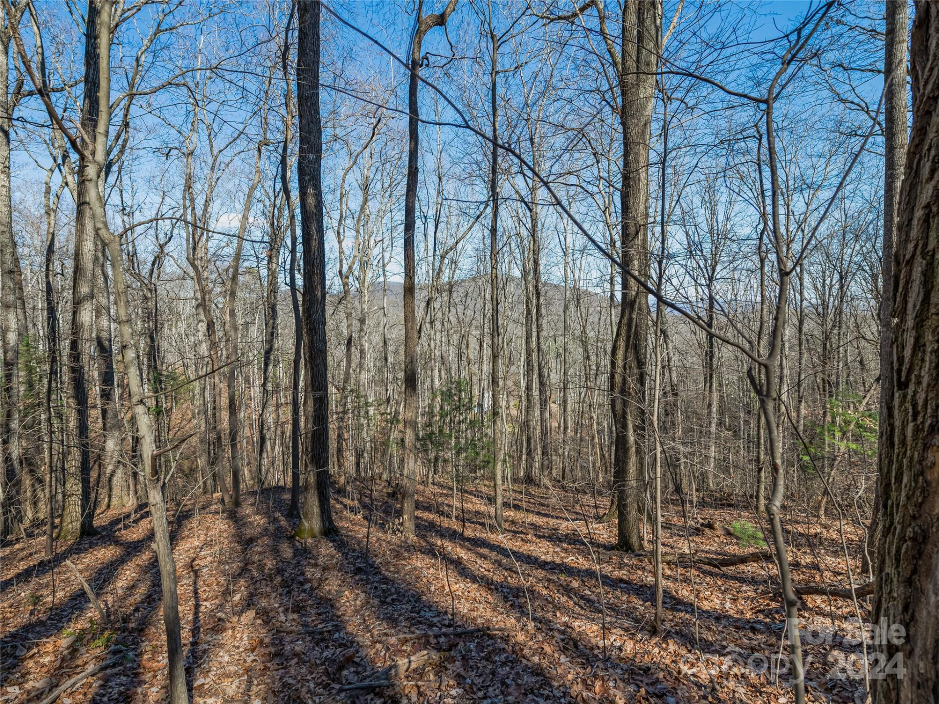 99999 Propst Road - Photo 18