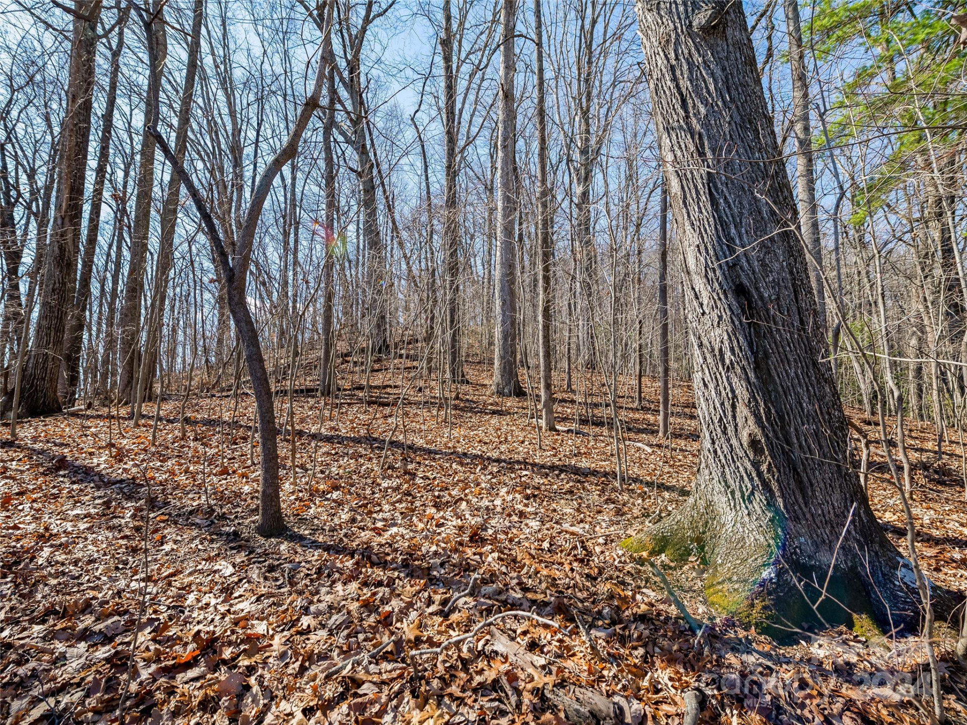 99999 Propst Road - Photo 19