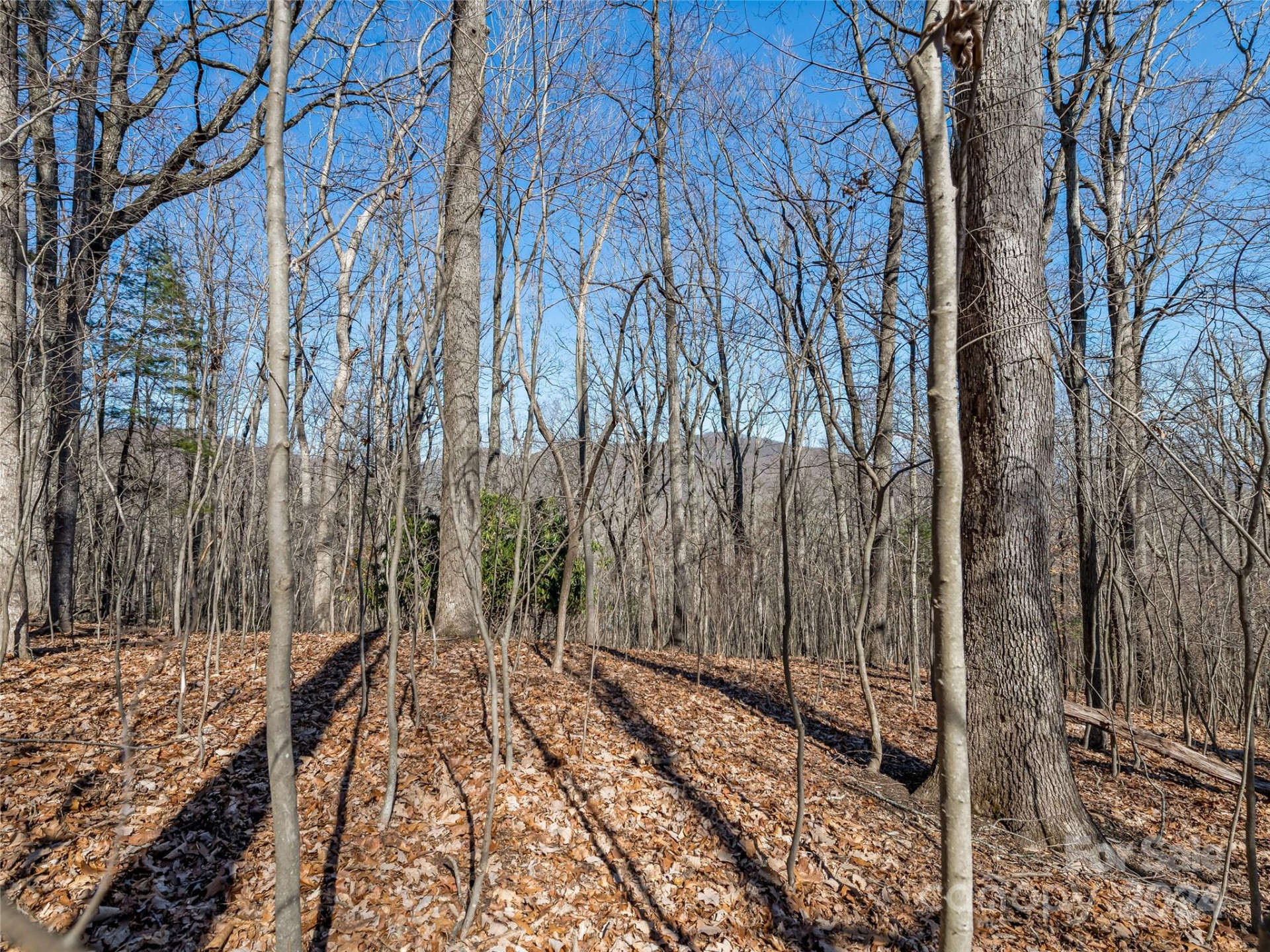 99999 Propst Road - Photo 20