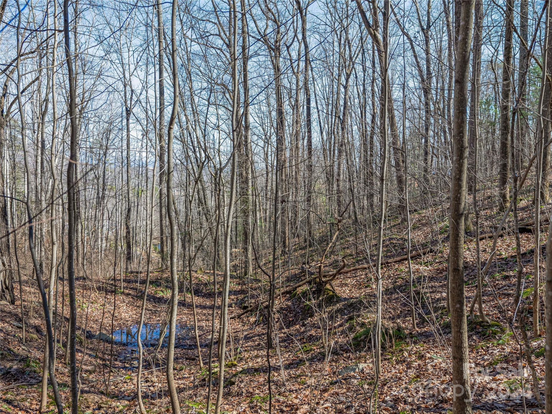 99999 Propst Road - Photo 28