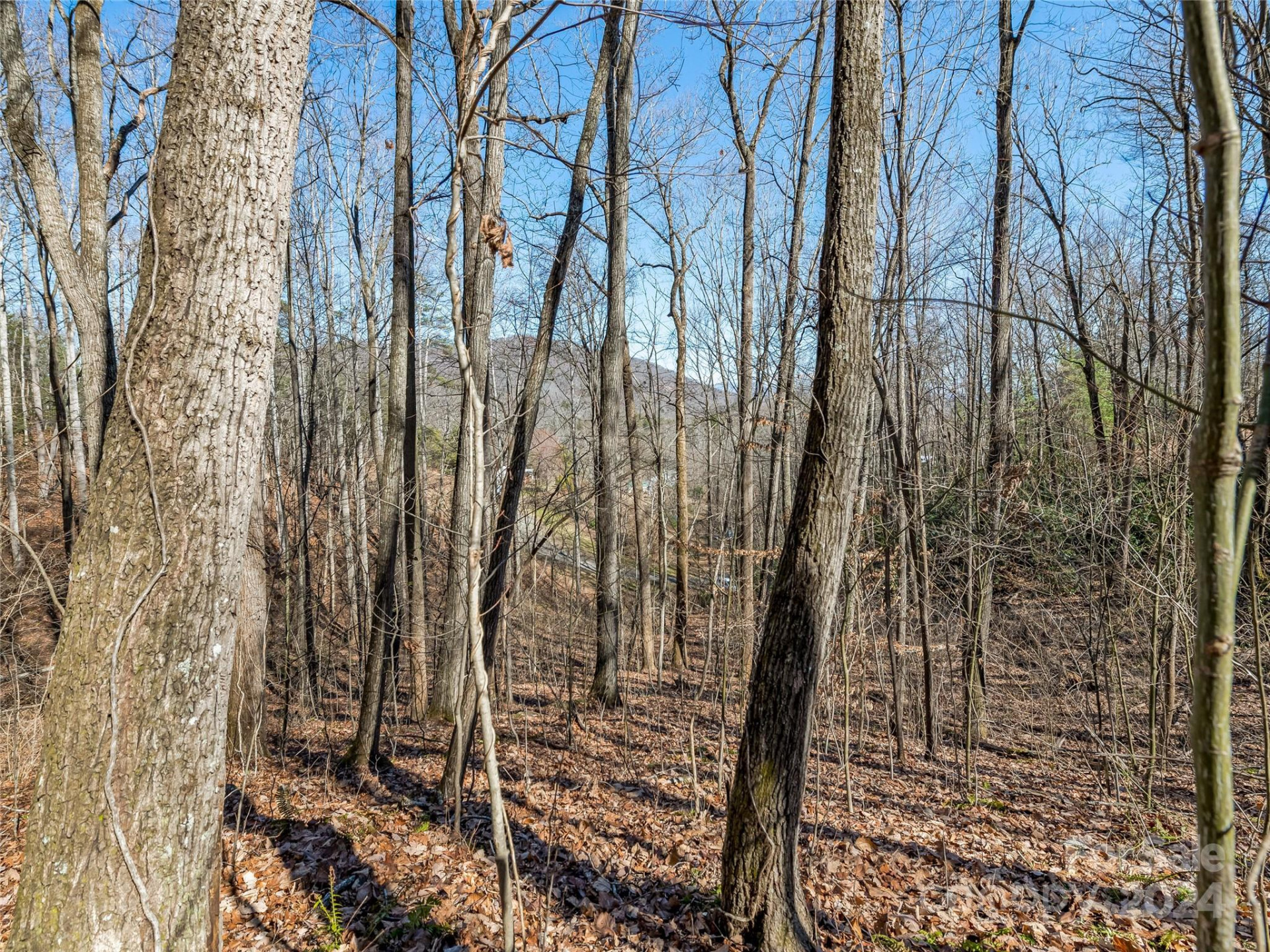 99999 Propst Road - Photo 30