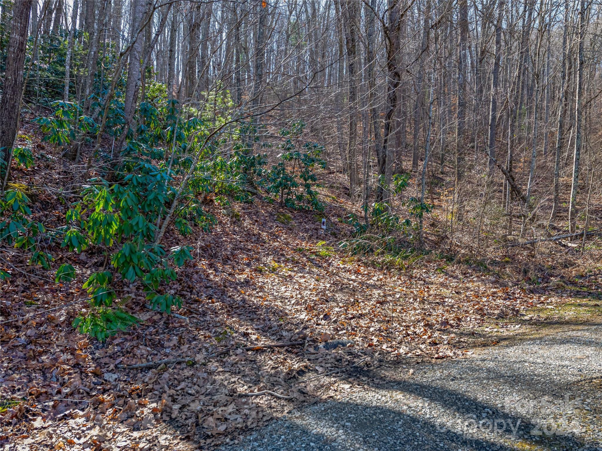 99999 Propst Road - Photo 7