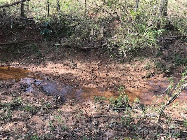 00 Woodstock Lane - Photo 2