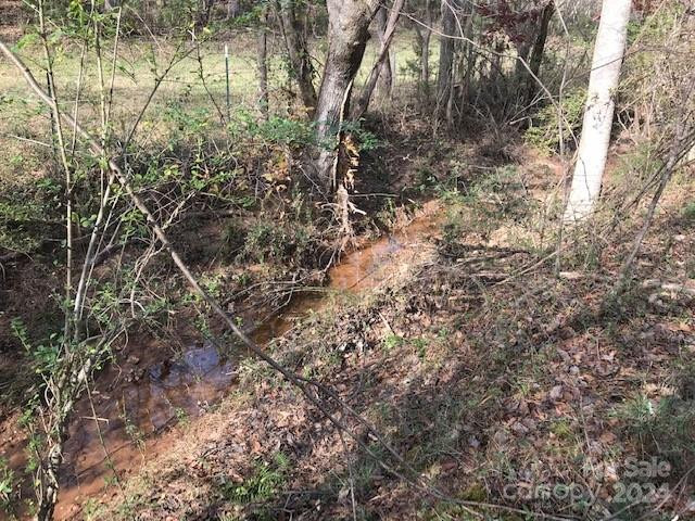 00 Woodstock Lane - Photo 3