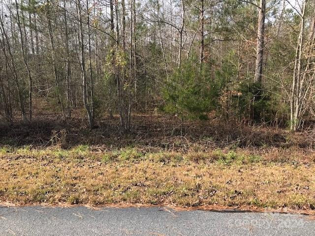 00 Woodstock Lane - Photo 4