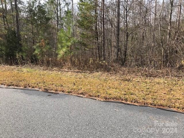 00 Woodstock Lane - Photo 5