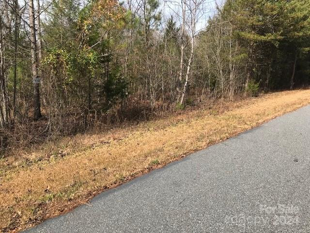 00 Woodstock Lane - Photo 6