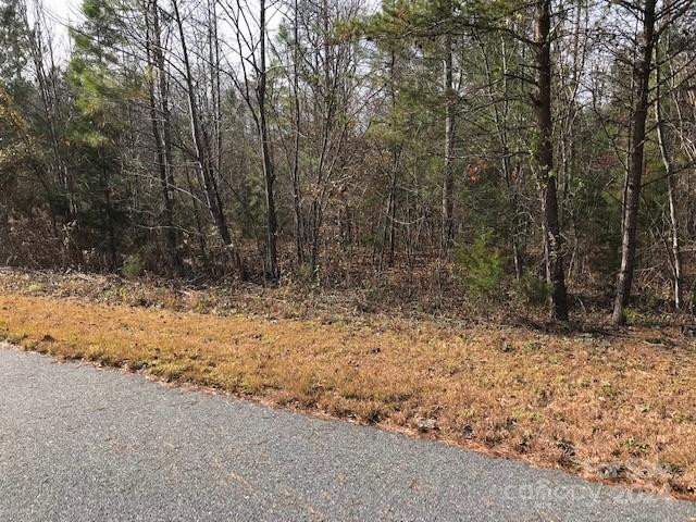 00 Woodstock Lane - Photo 7