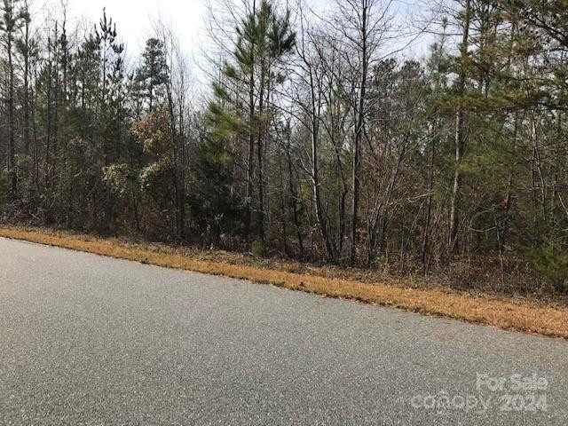 00 Woodstock Lane - Photo 8