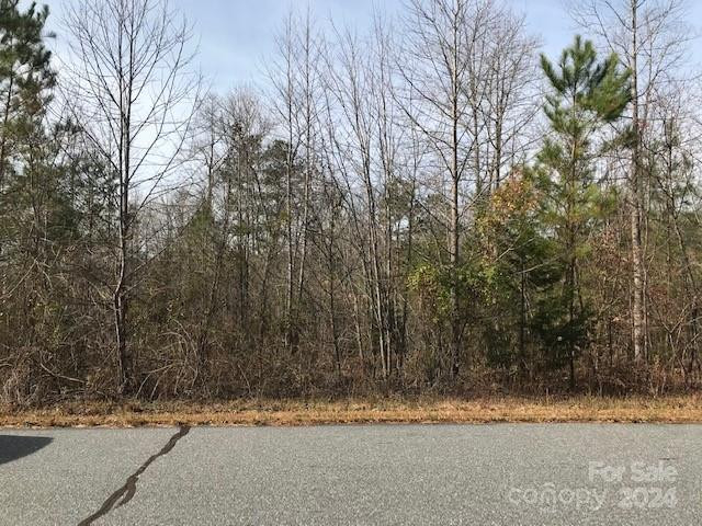 00 Woodstock Lane - Photo 9