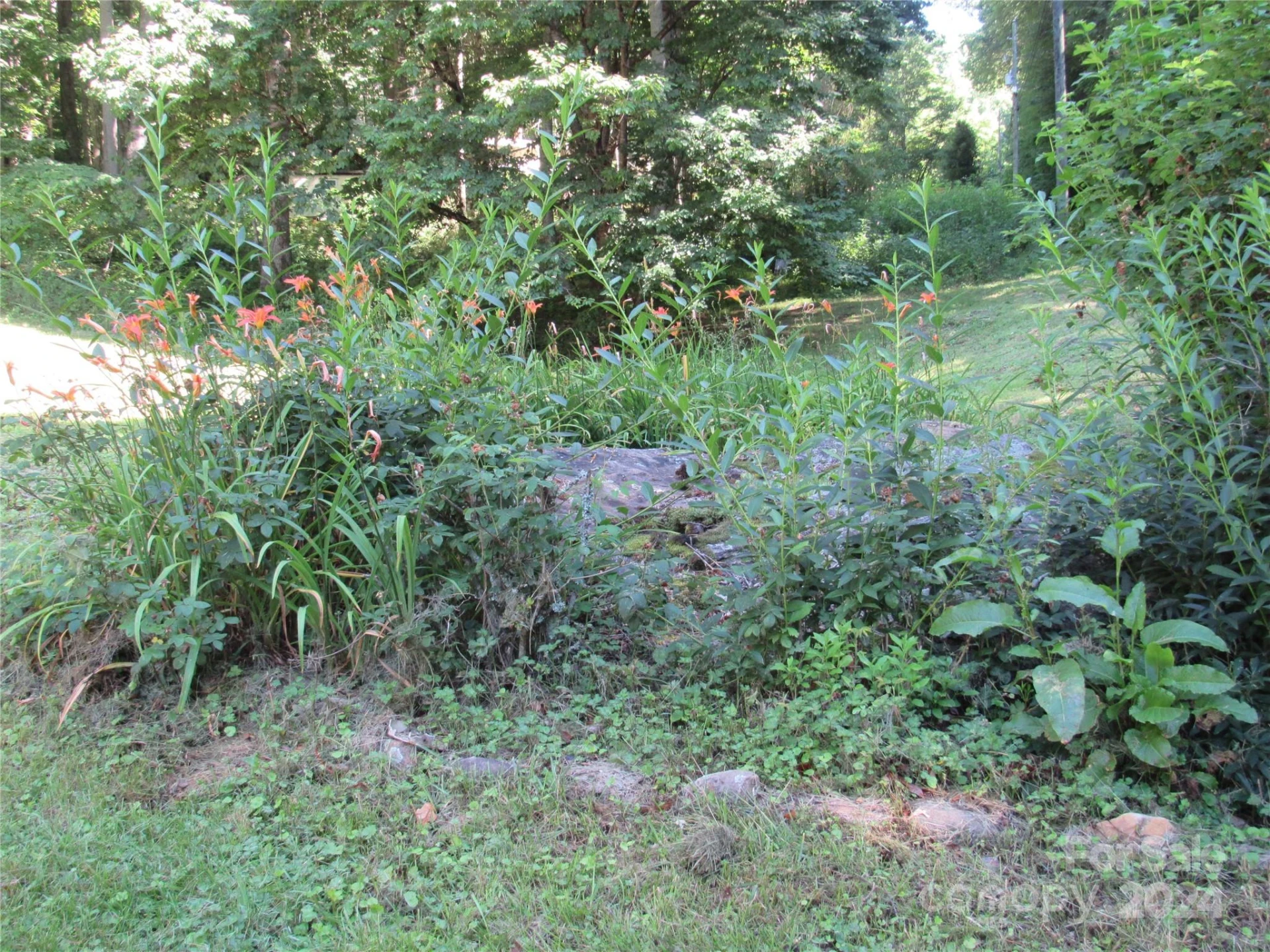 664 Woodfin Road - Photo 14