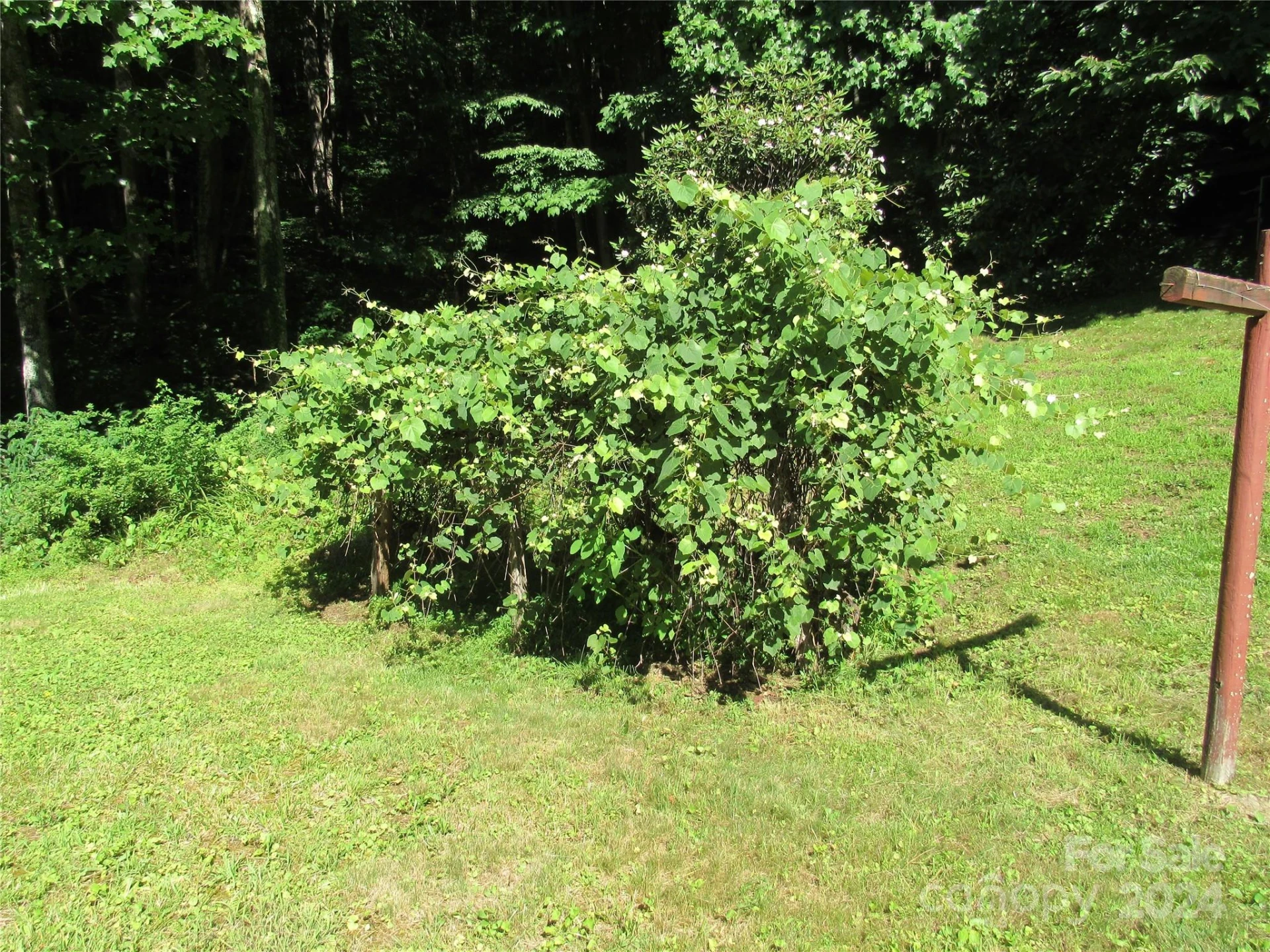 664 Woodfin Road - Photo 16
