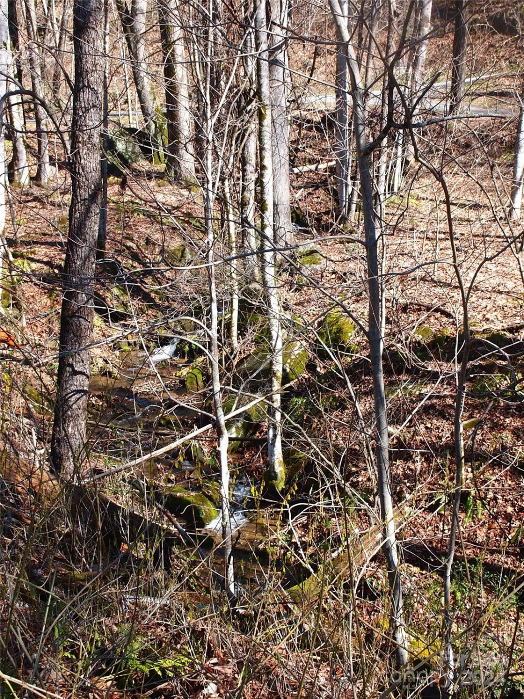 664 Woodfin Road - Photo 29