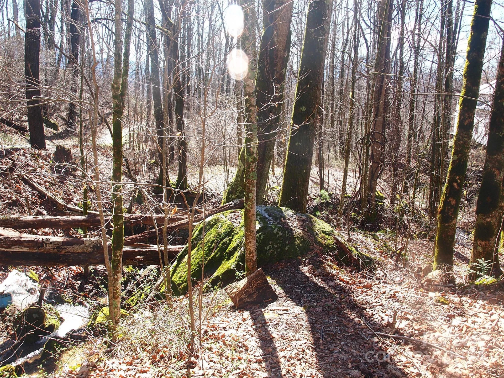 664 Woodfin Road - Photo 30