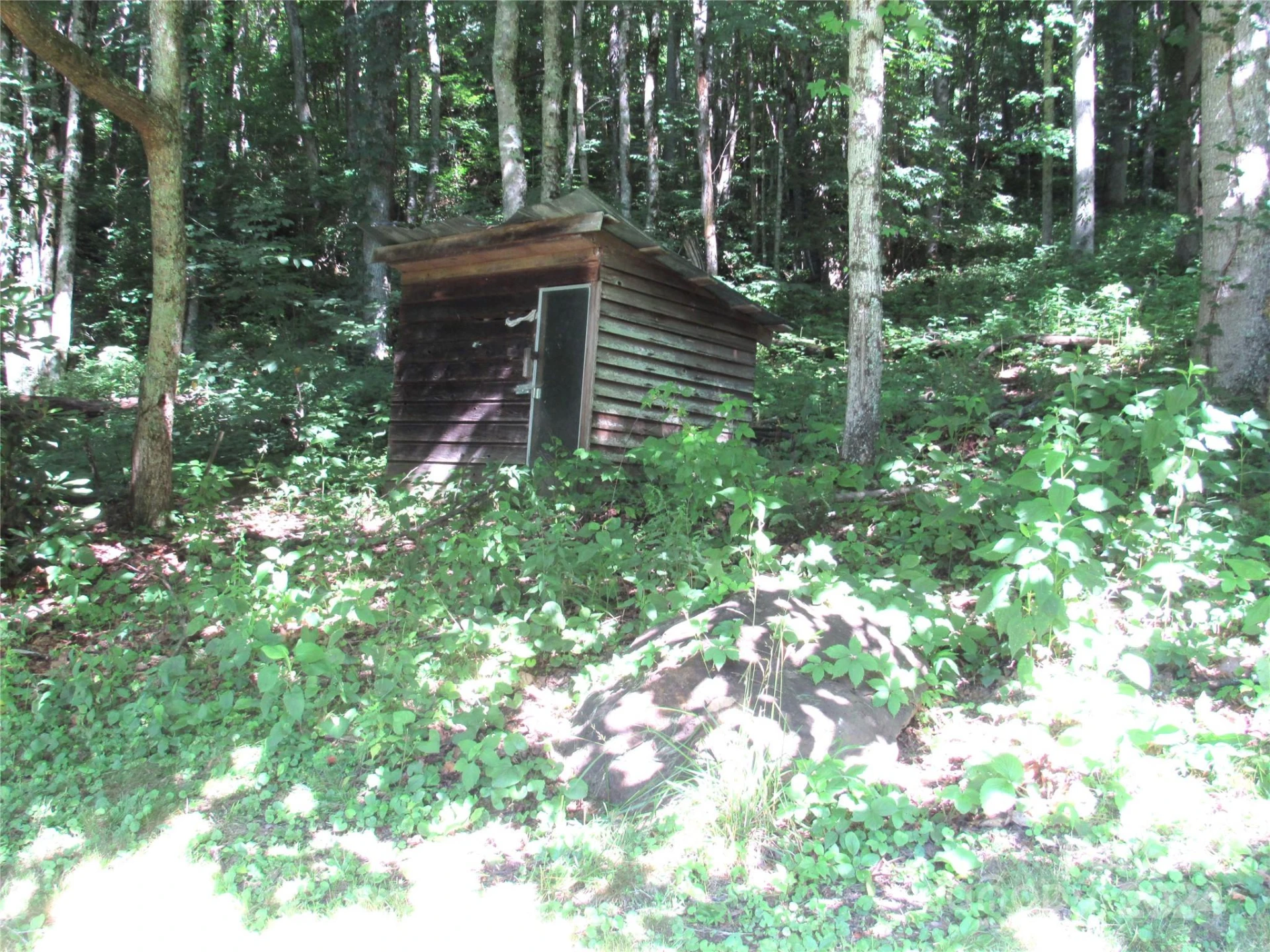 664 Woodfin Road - Photo 4